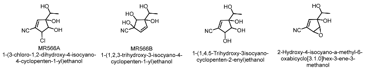 Molecules 28 01053 i003 Molecules 28 01053 i003