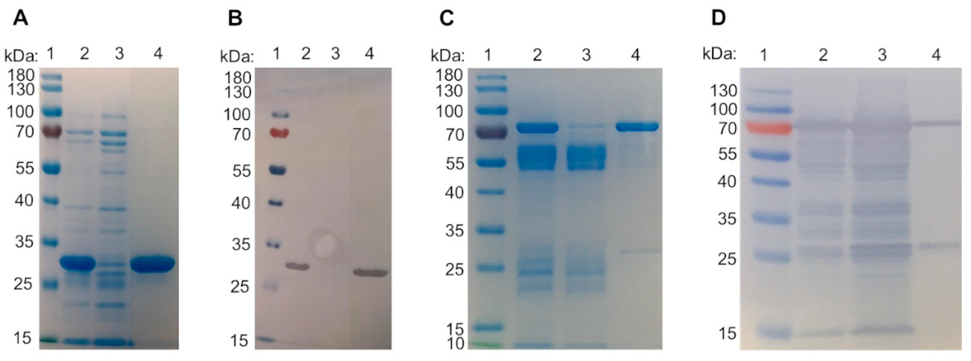 Molecules 28 01054 g002 Molecules 28 01054 g002