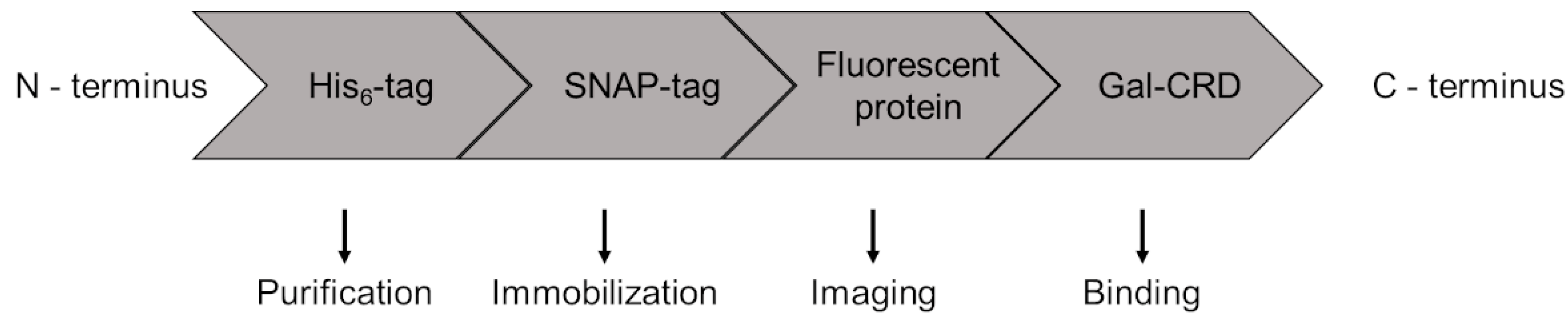 Molecules 28 01054 sch001 Molecules 28 01054 sch001