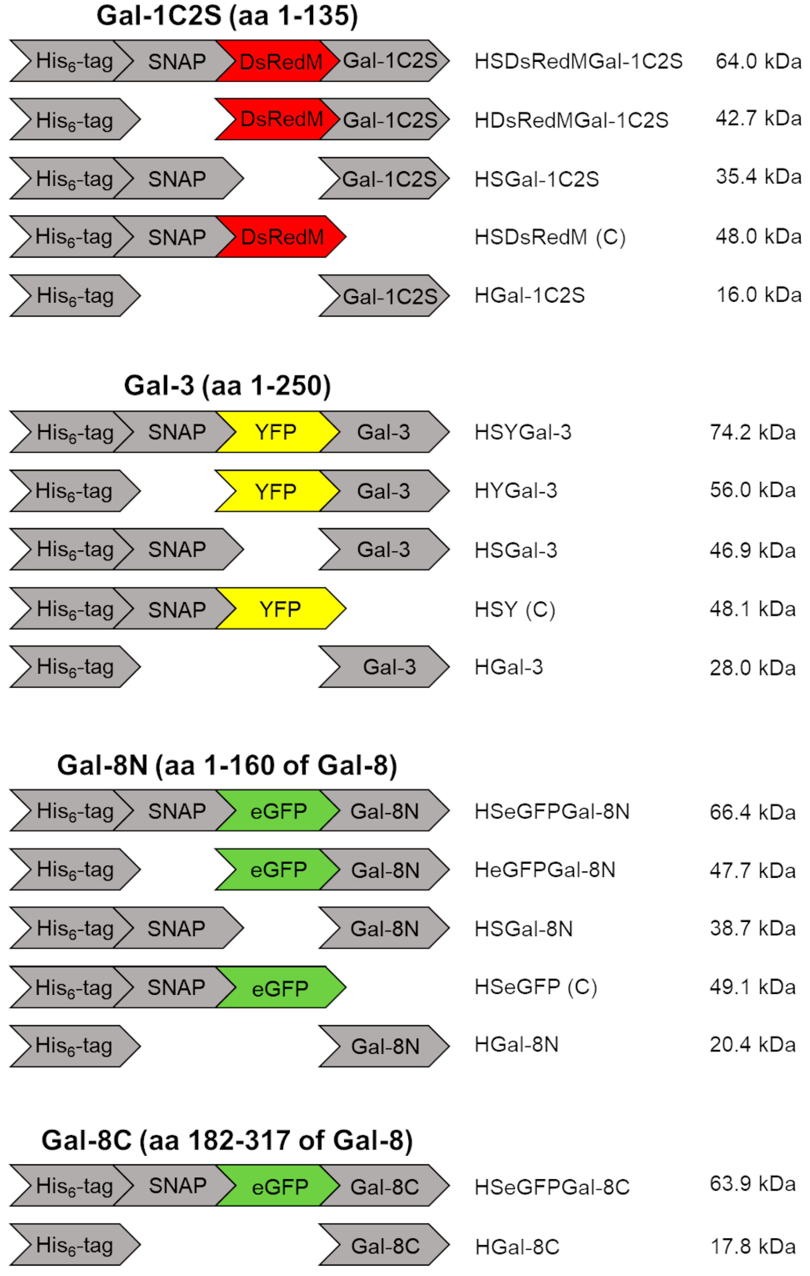 Molecules 28 01054 sch002 Molecules 28 01054 sch002