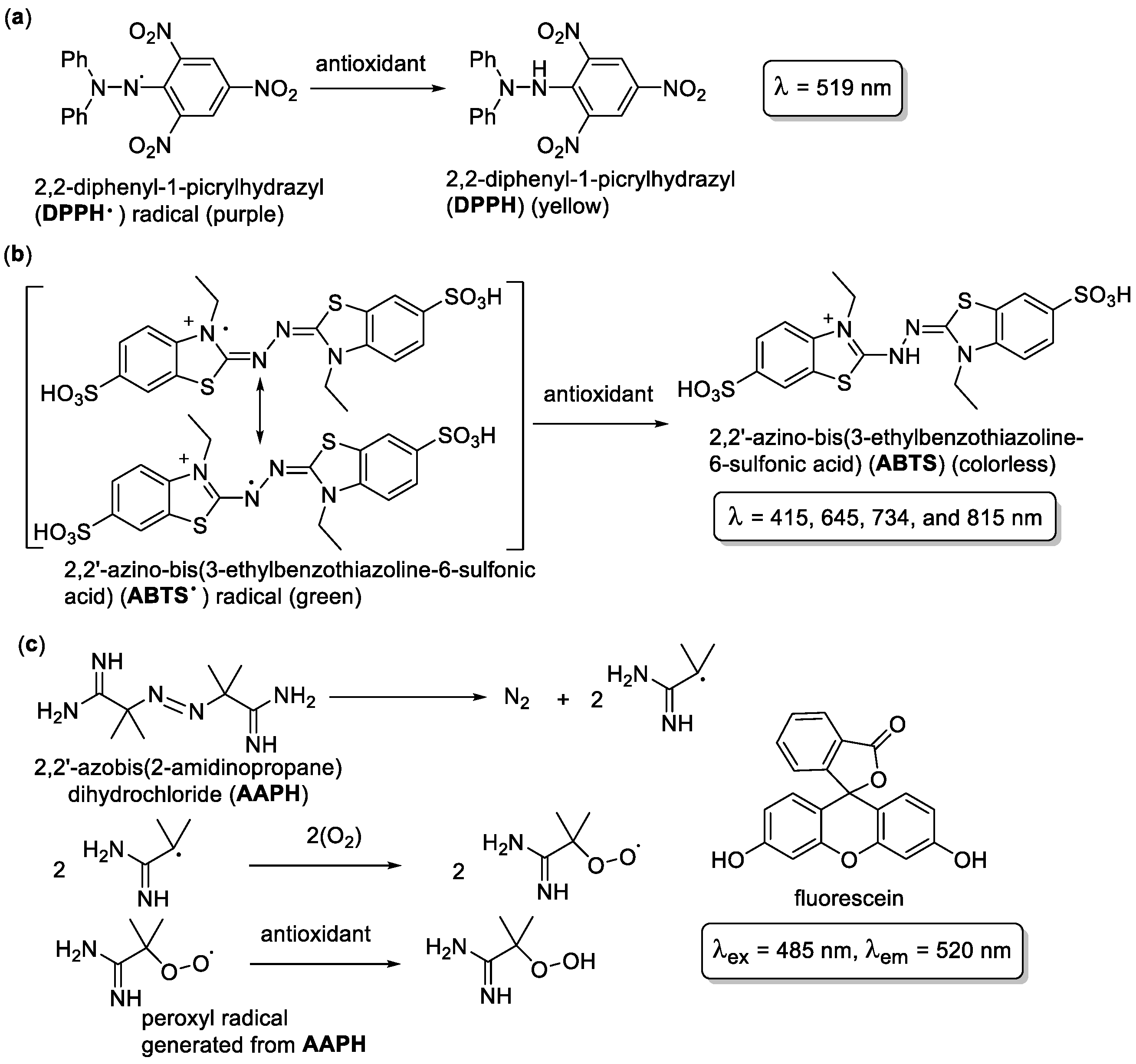 Molecules 28 01057 g001