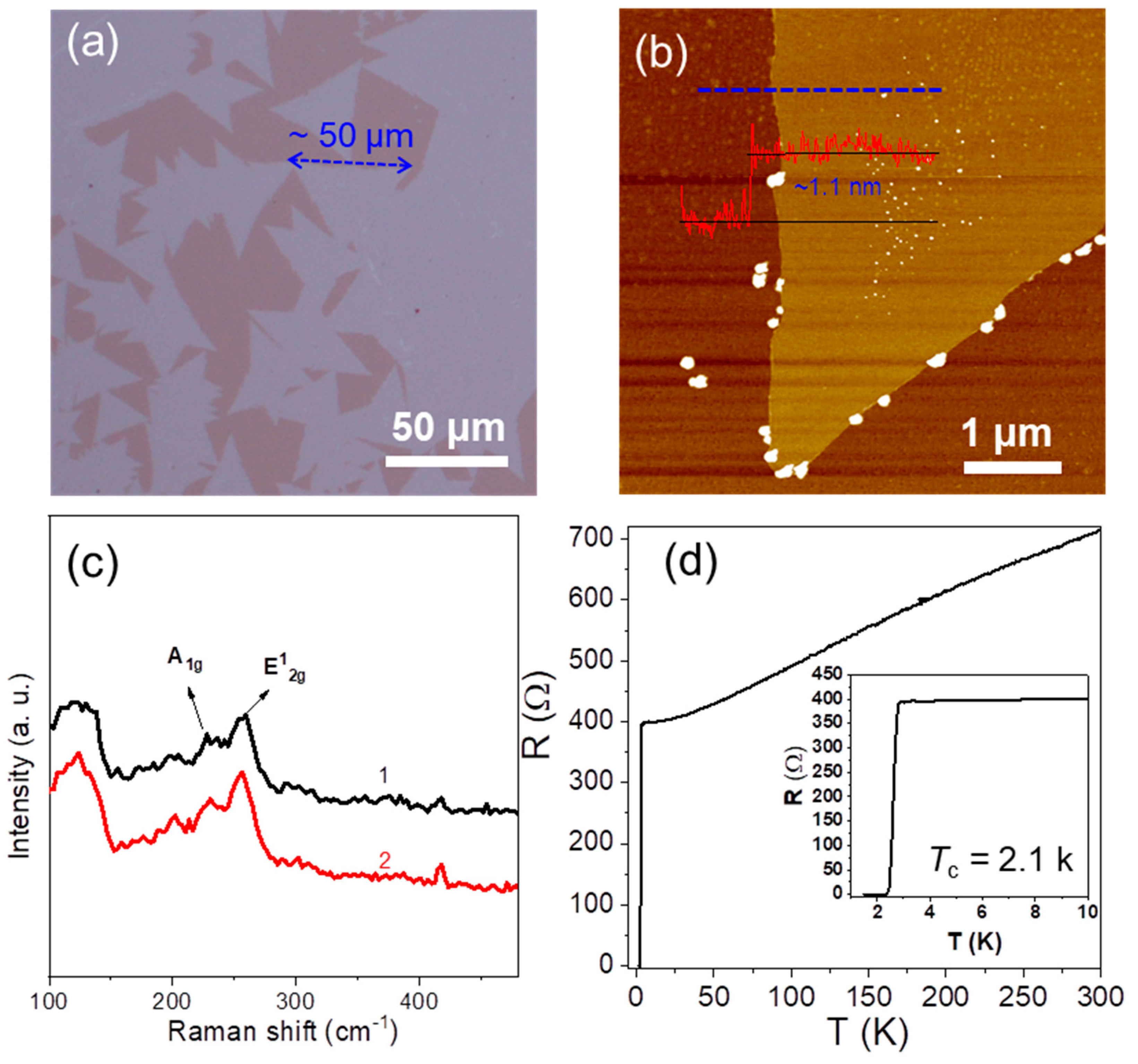Molecules 28 01059 g004