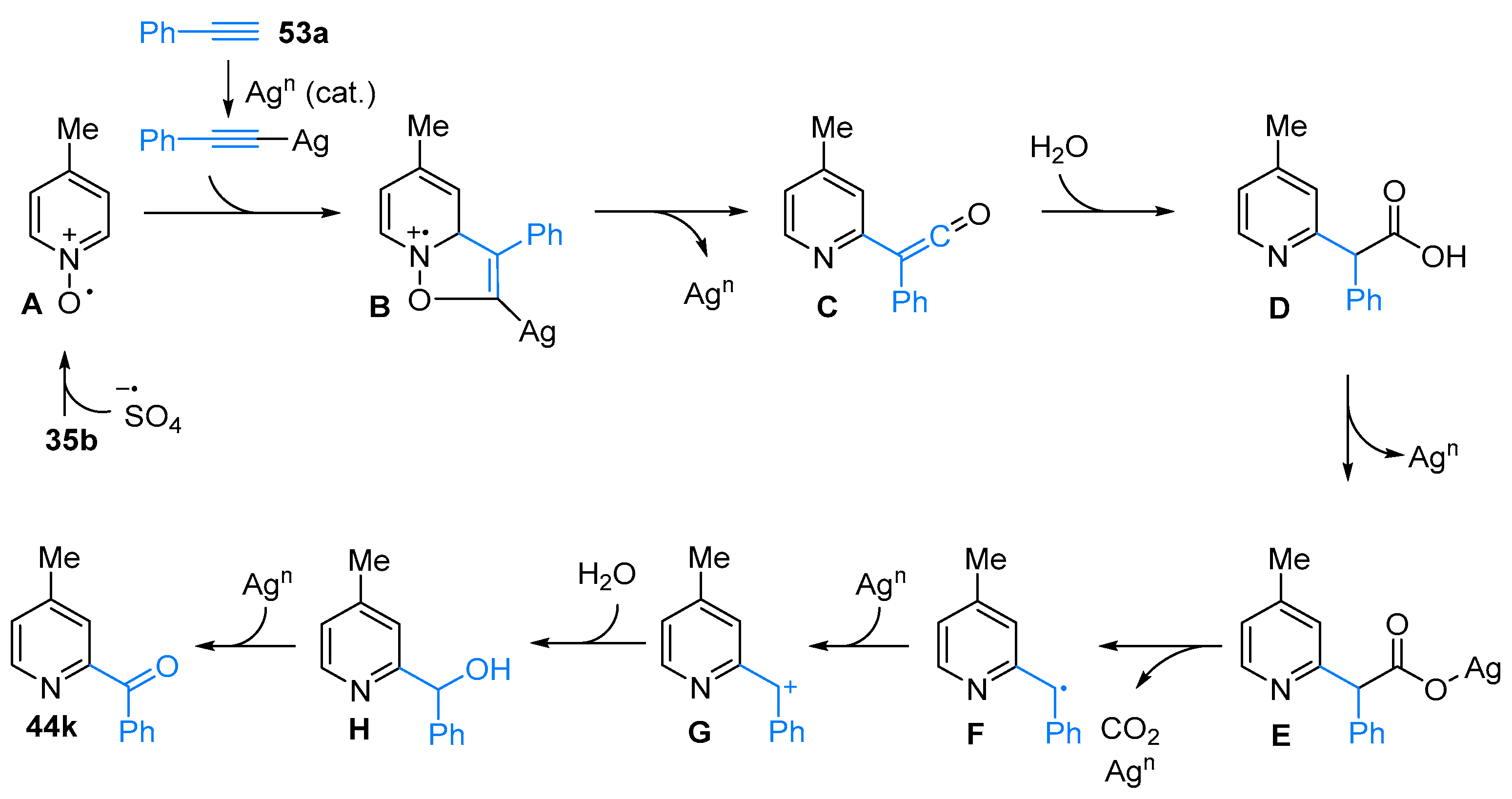 Molecules 28 01071 sch043 Molecules 28 01071 sch043