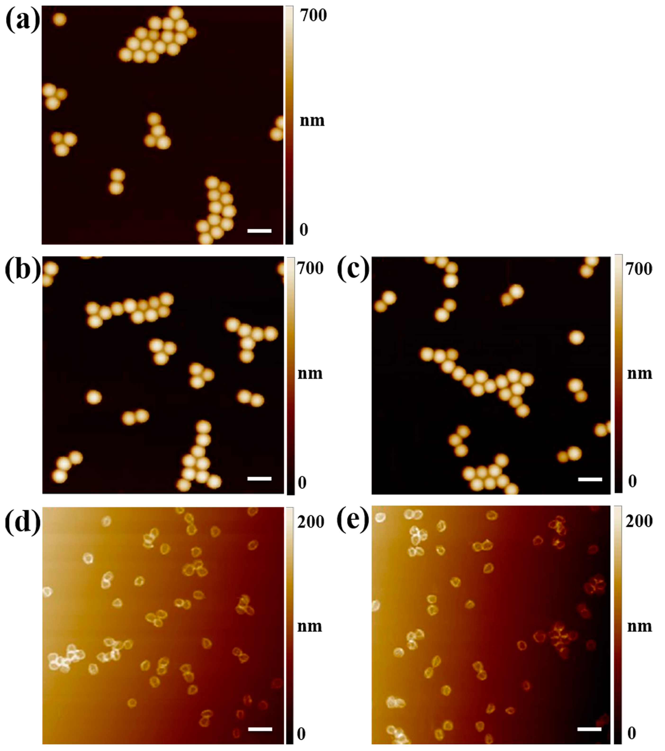 Molecules 28 01077 g001 Molecules 28 01077 g001