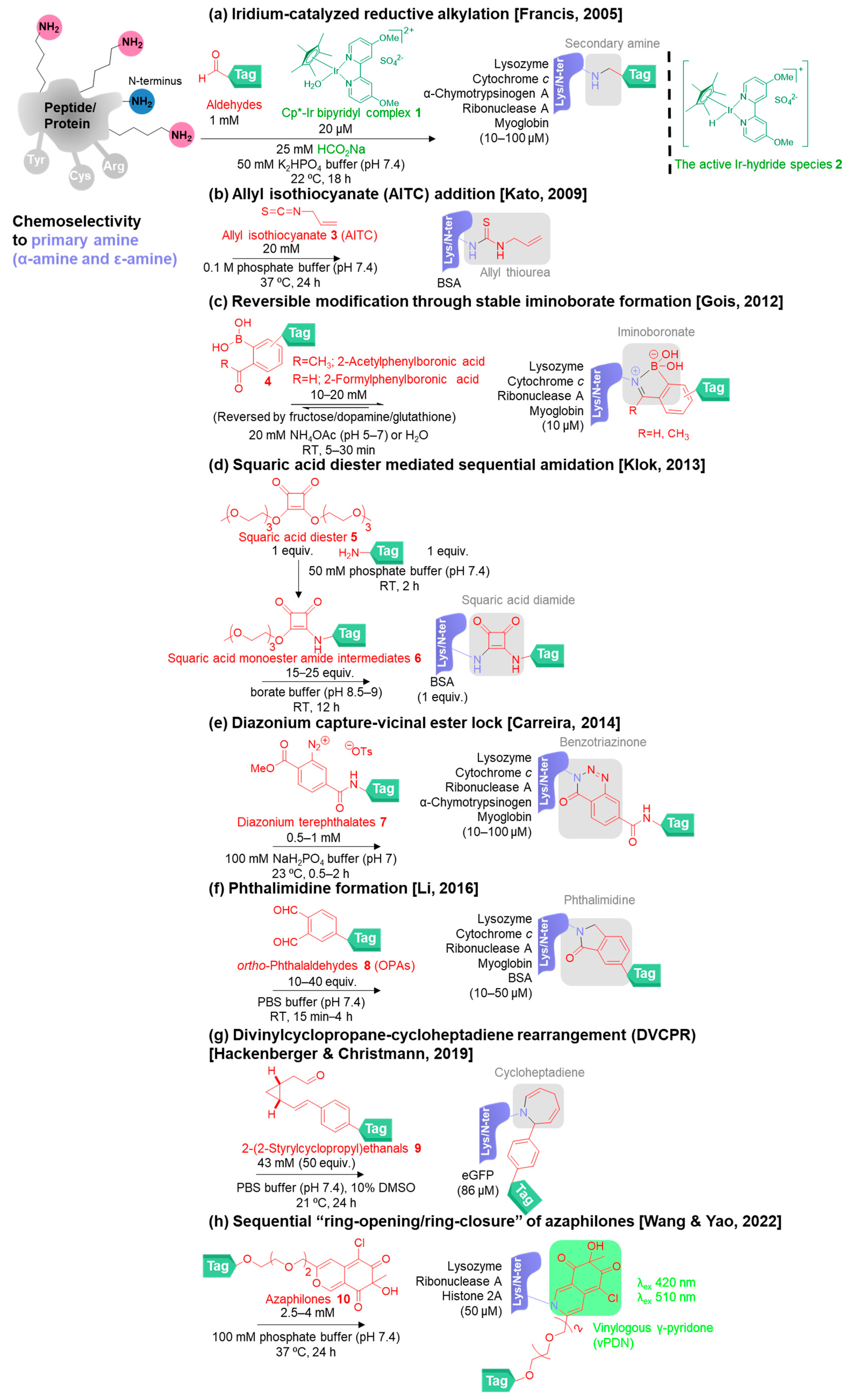 Molecules 28 01083 g003