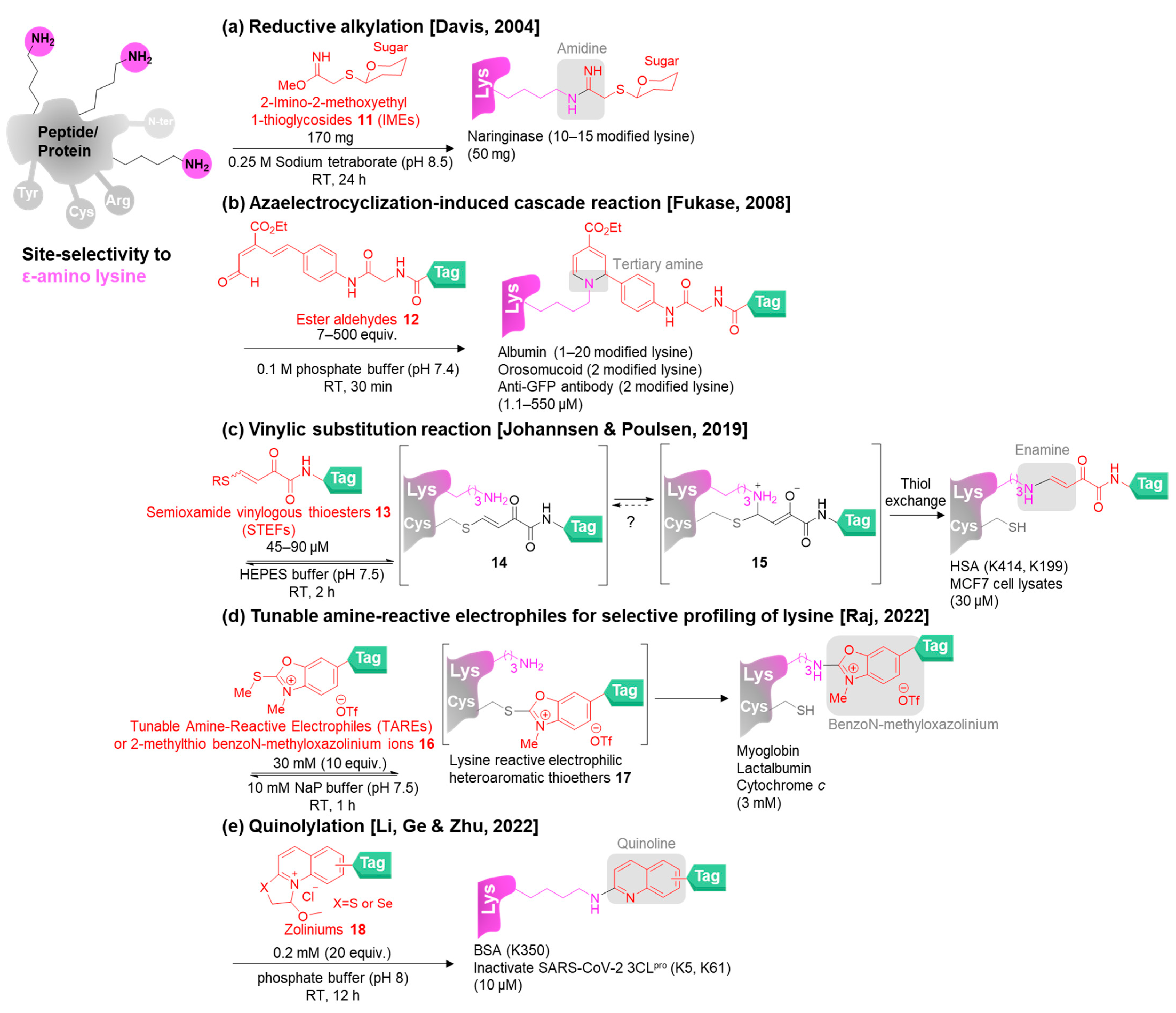 Molecules 28 01083 g004