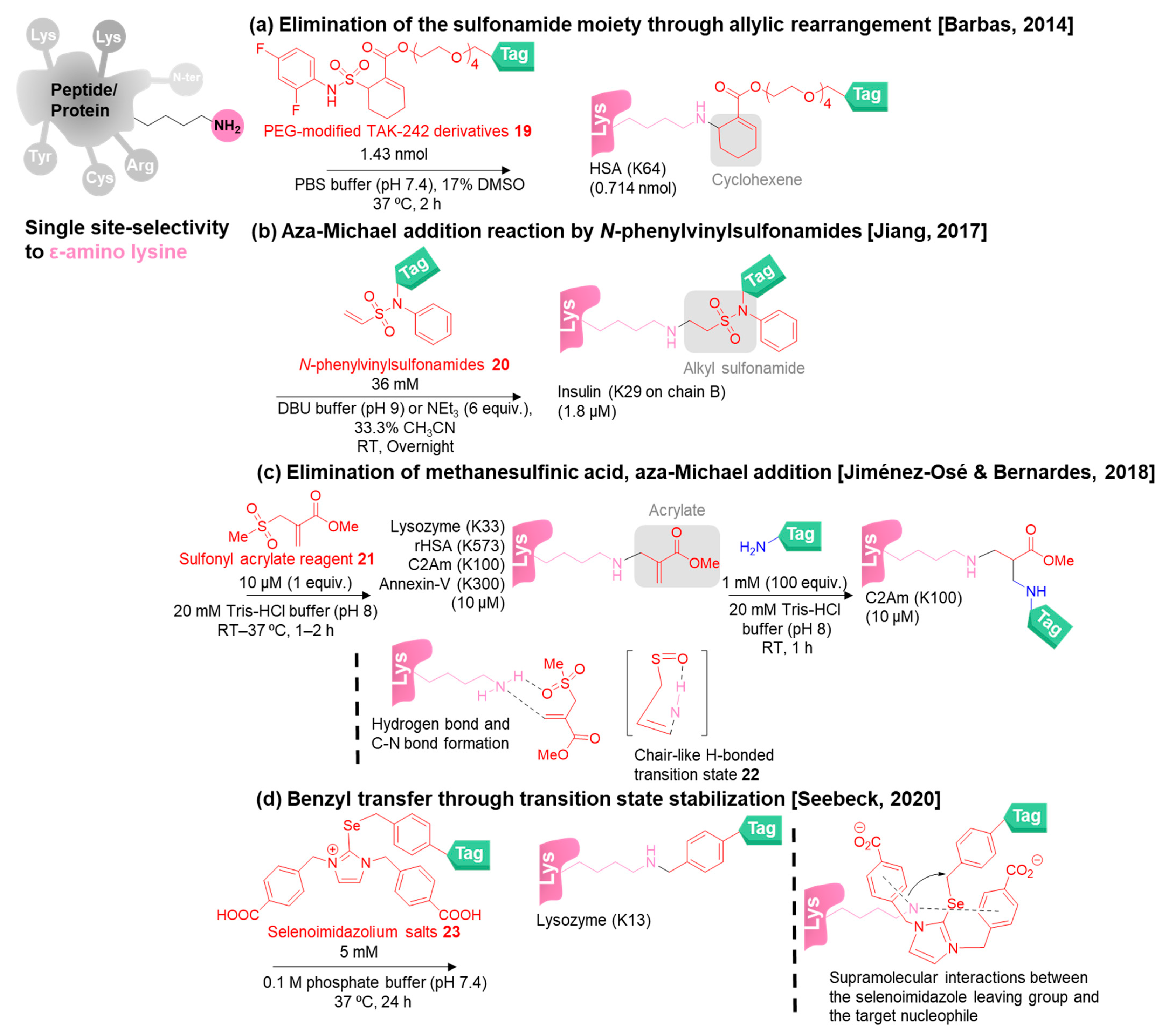 Molecules 28 01083 g005a Molecules 28 01083 g005a