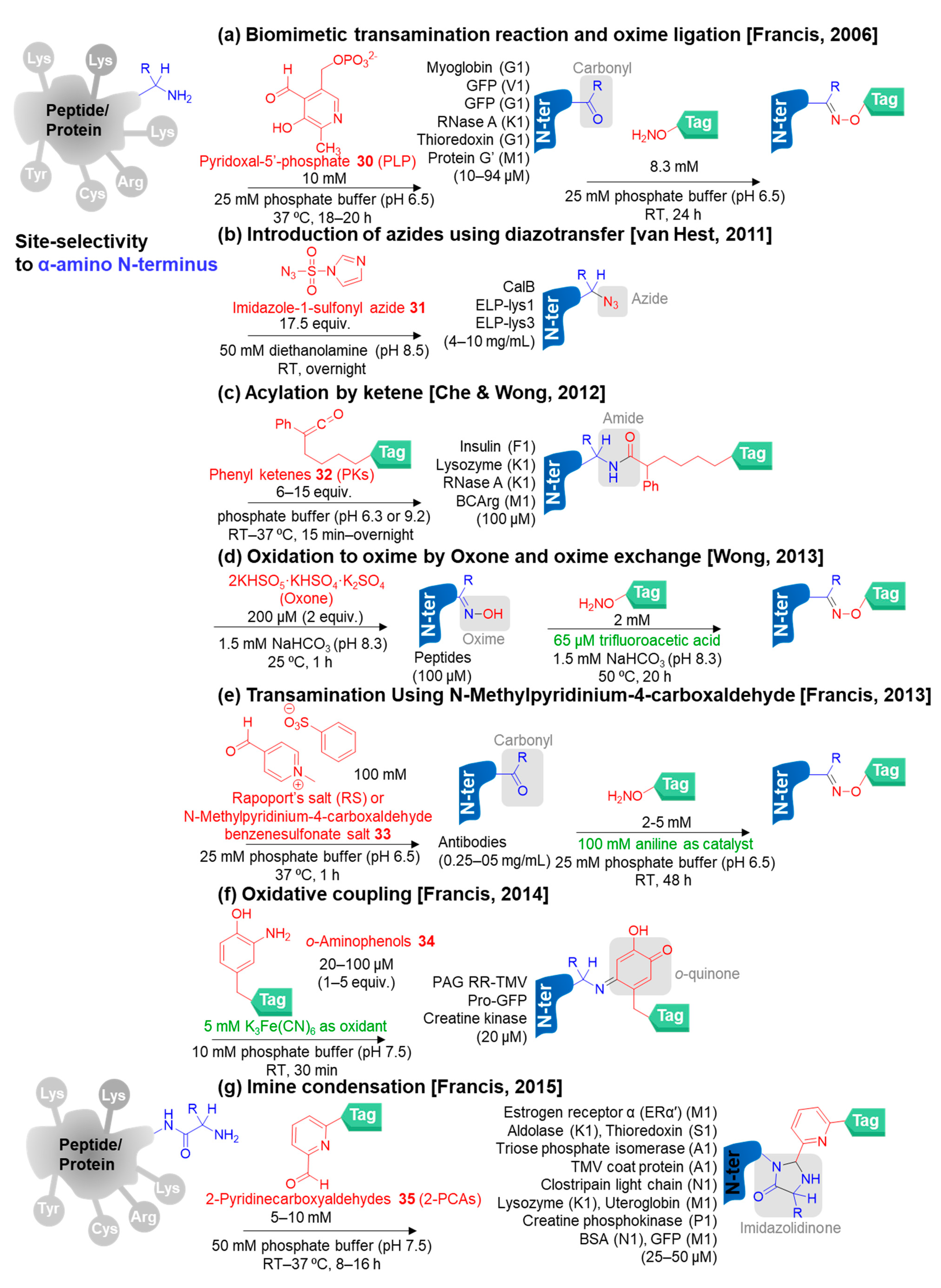 Molecules 28 01083 g006a Molecules 28 01083 g006a