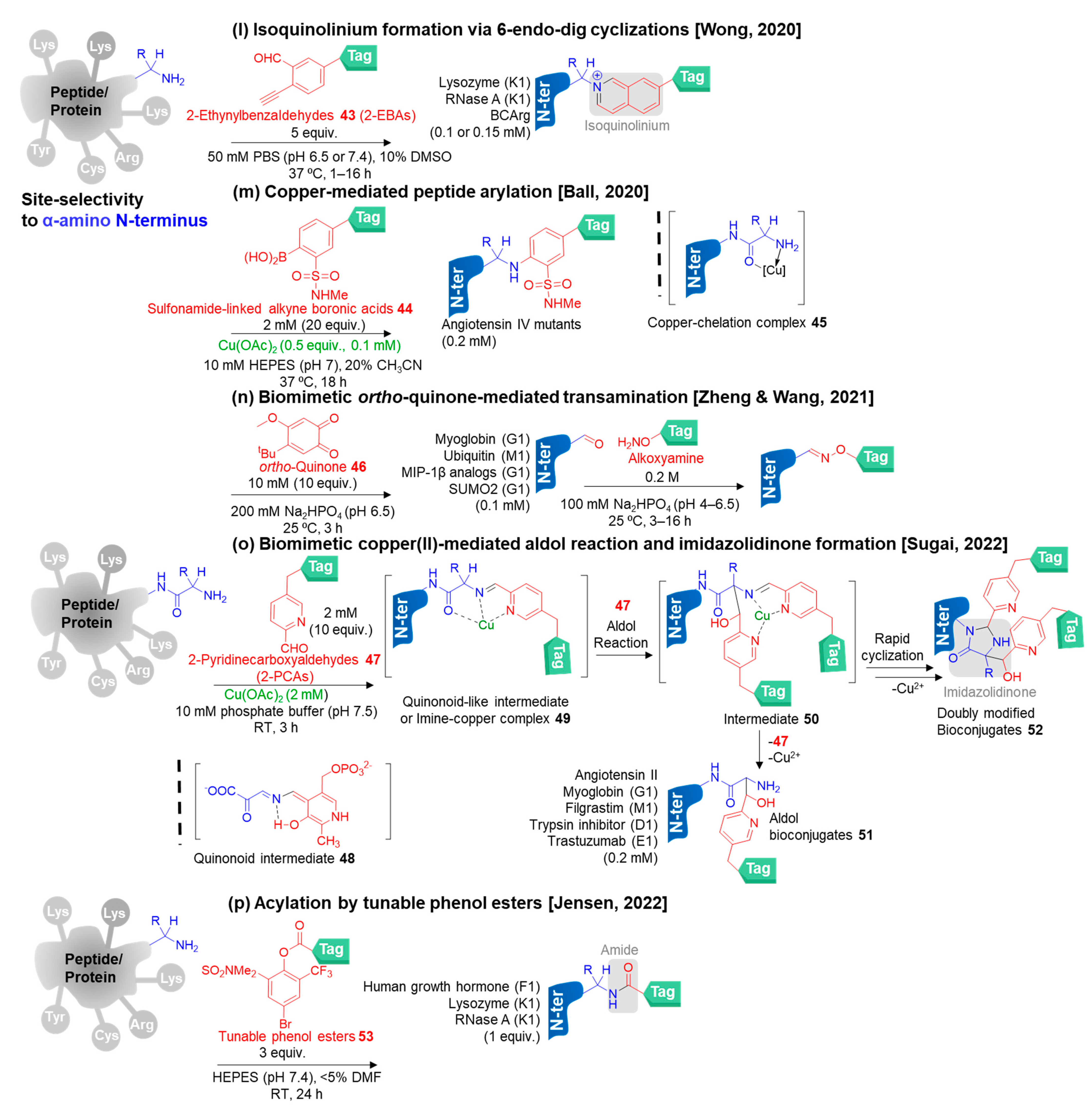 Molecules 28 01083 g006c