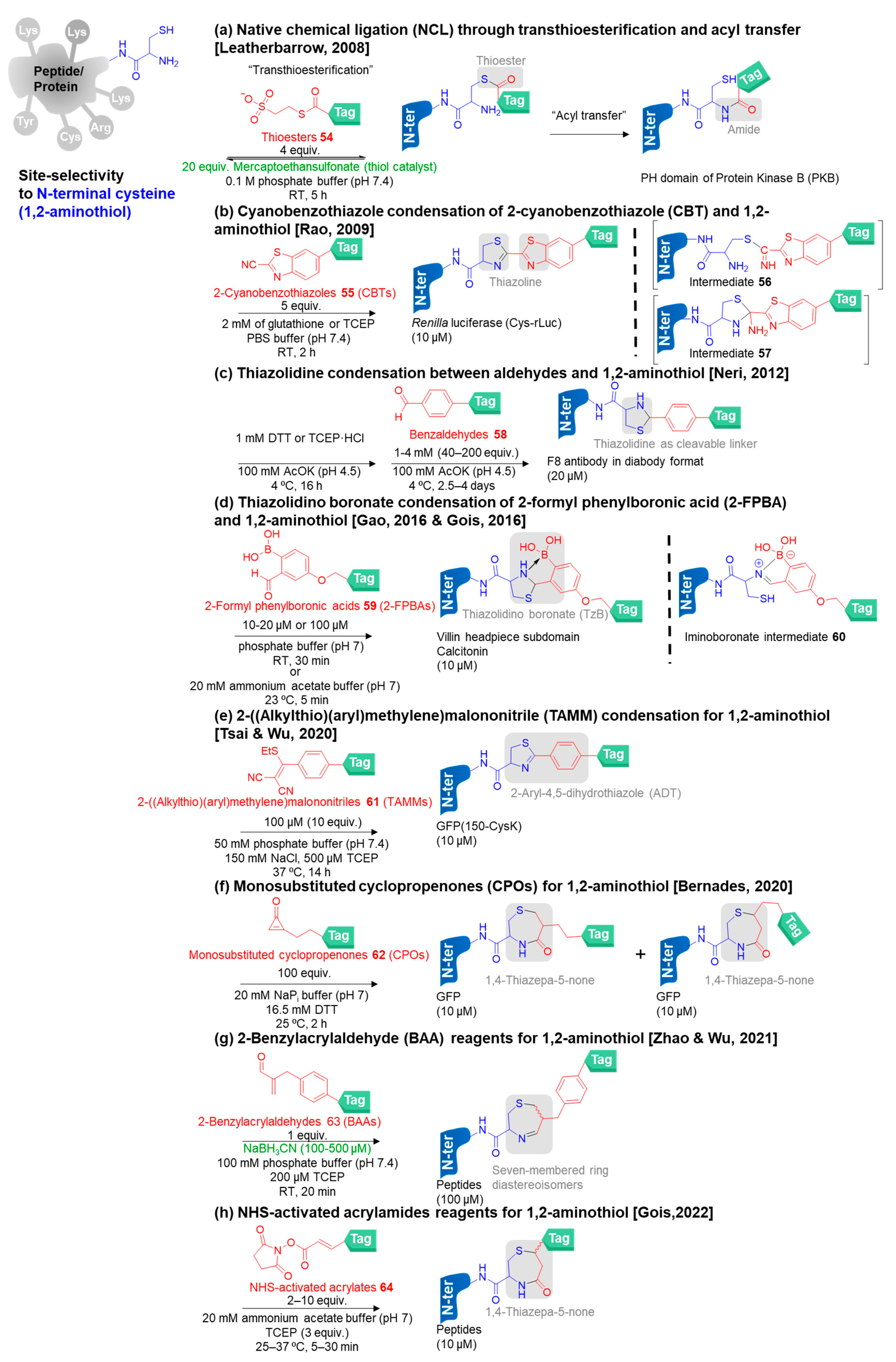 Molecules 28 01083 g007 Molecules 28 01083 g007