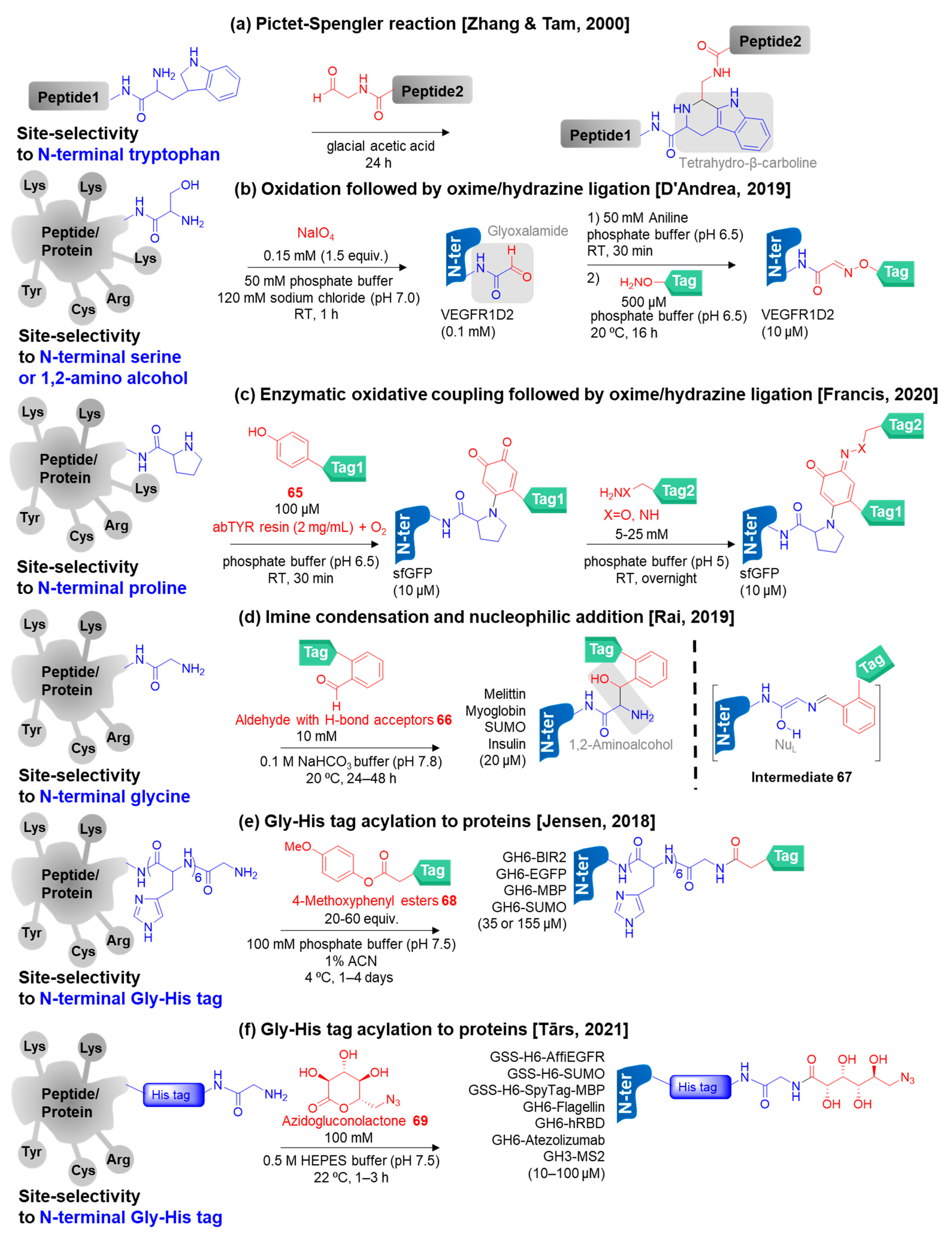Molecules 28 01083 g008