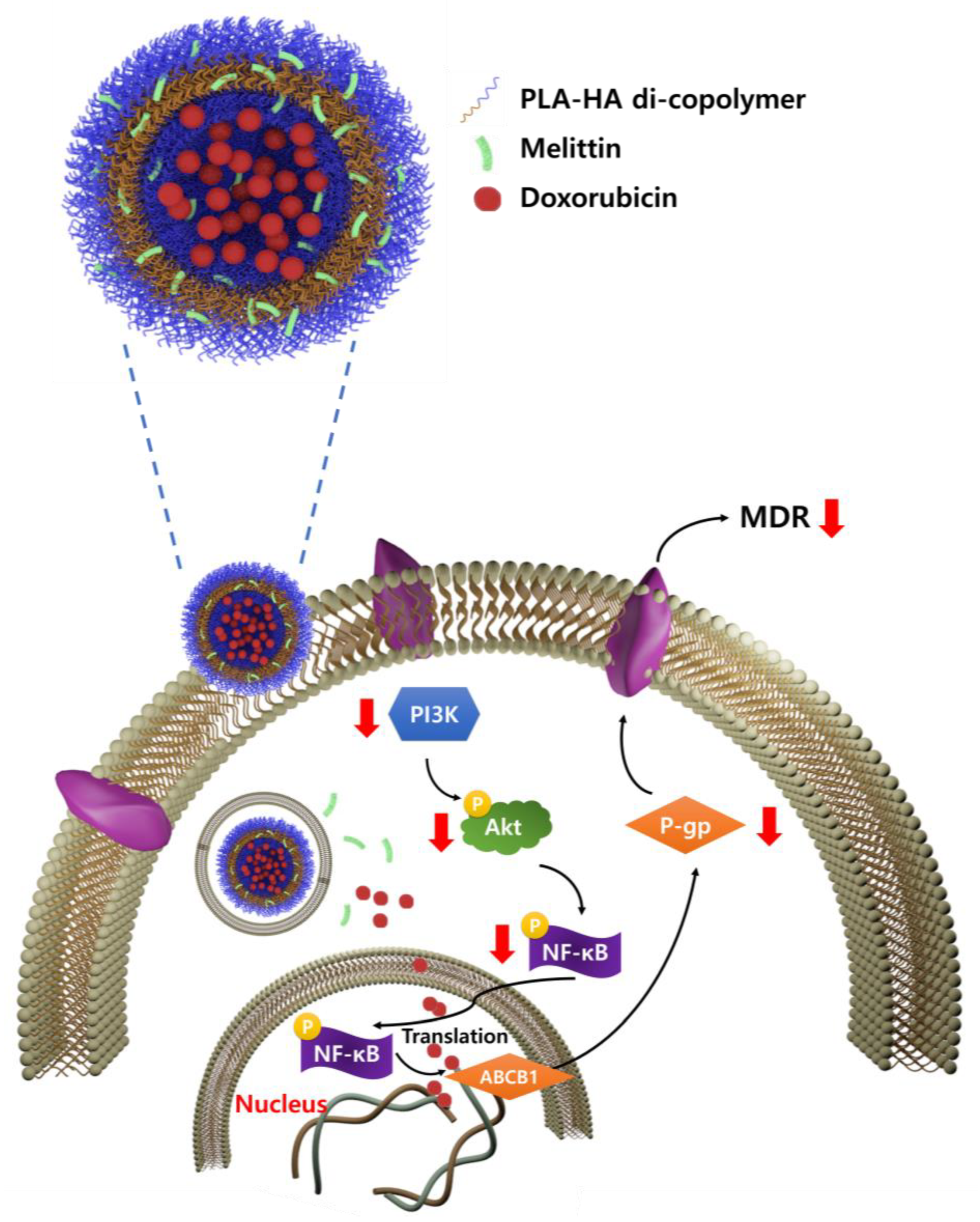 Molecules 28 01087 g001 Molecules 28 01087 g001