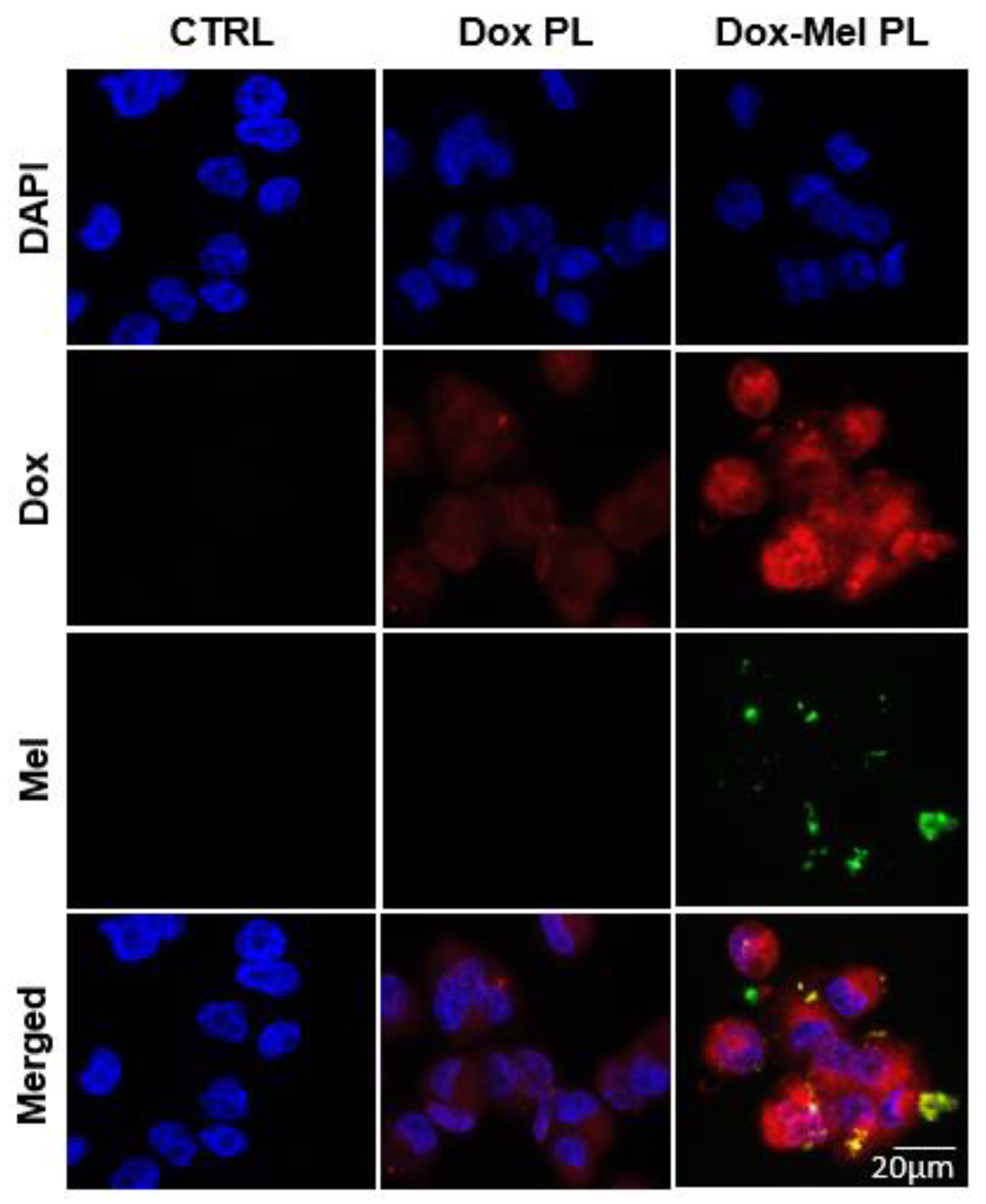 Molecules 28 01087 g003 Molecules 28 01087 g003