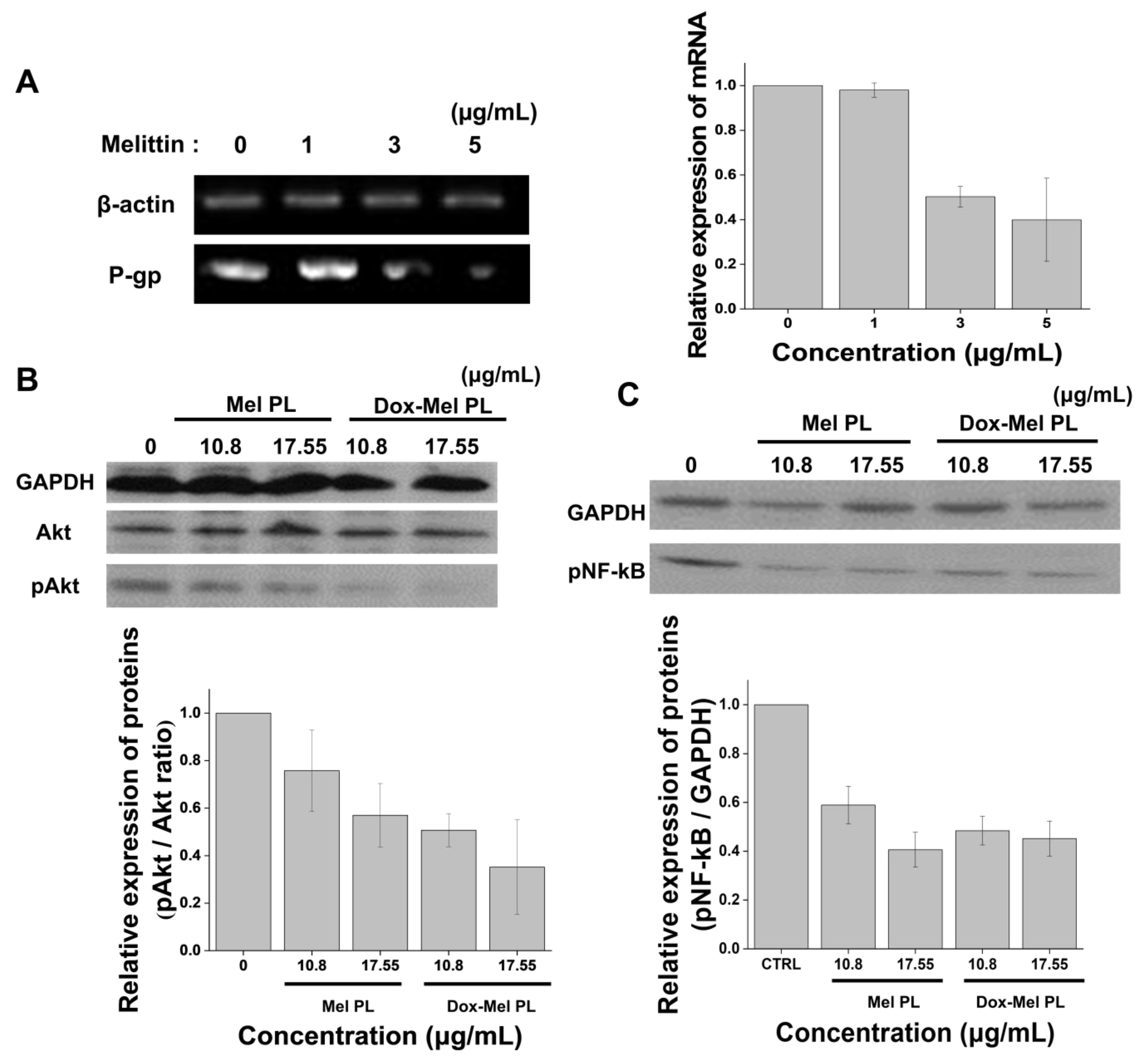 Molecules 28 01087 g004 Molecules 28 01087 g004