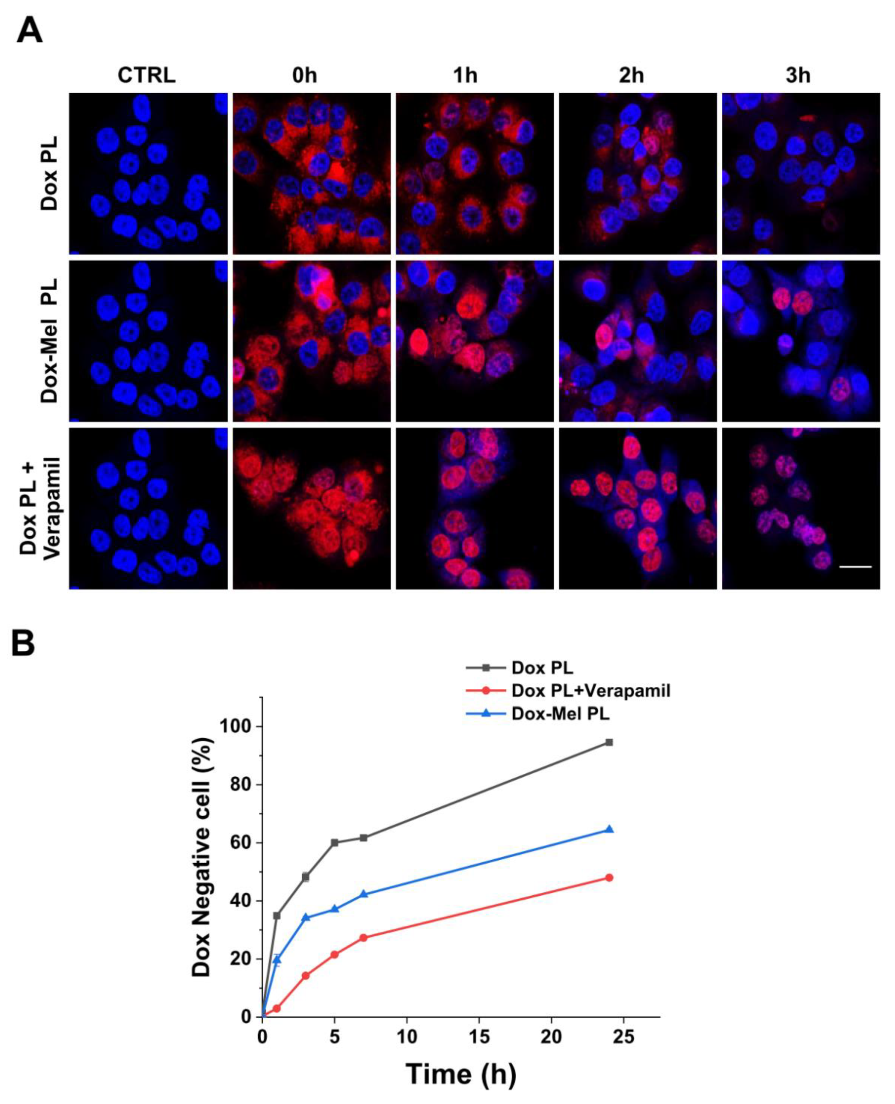 Molecules 28 01087 g005 Molecules 28 01087 g005