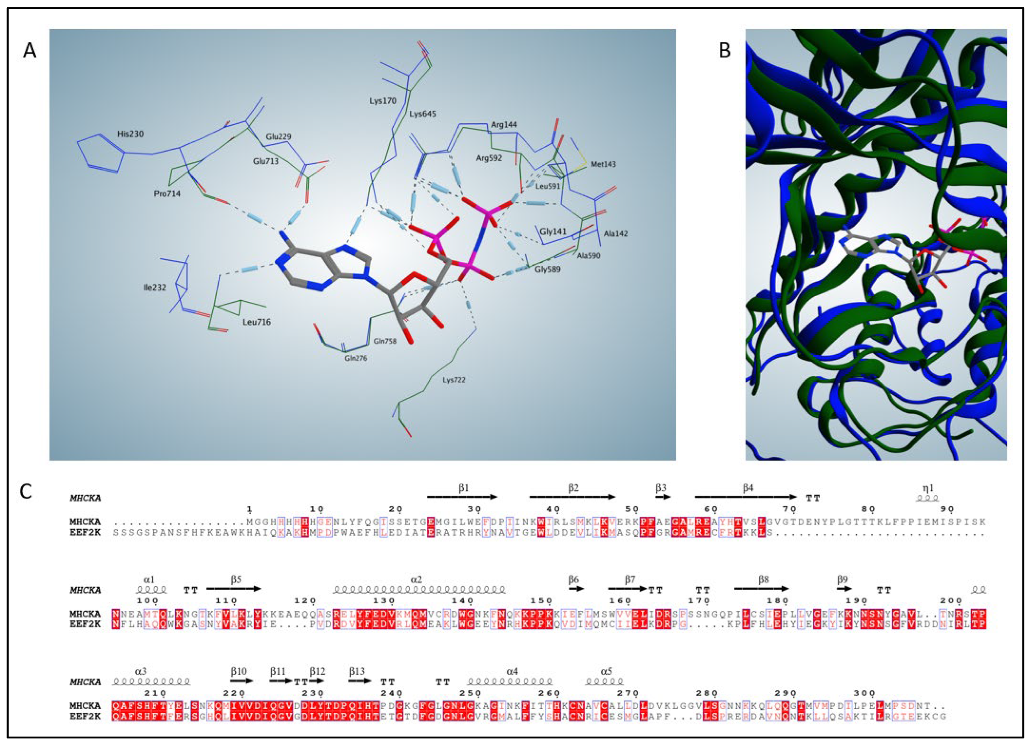Molecules 28 01095 g002 Molecules 28 01095 g002