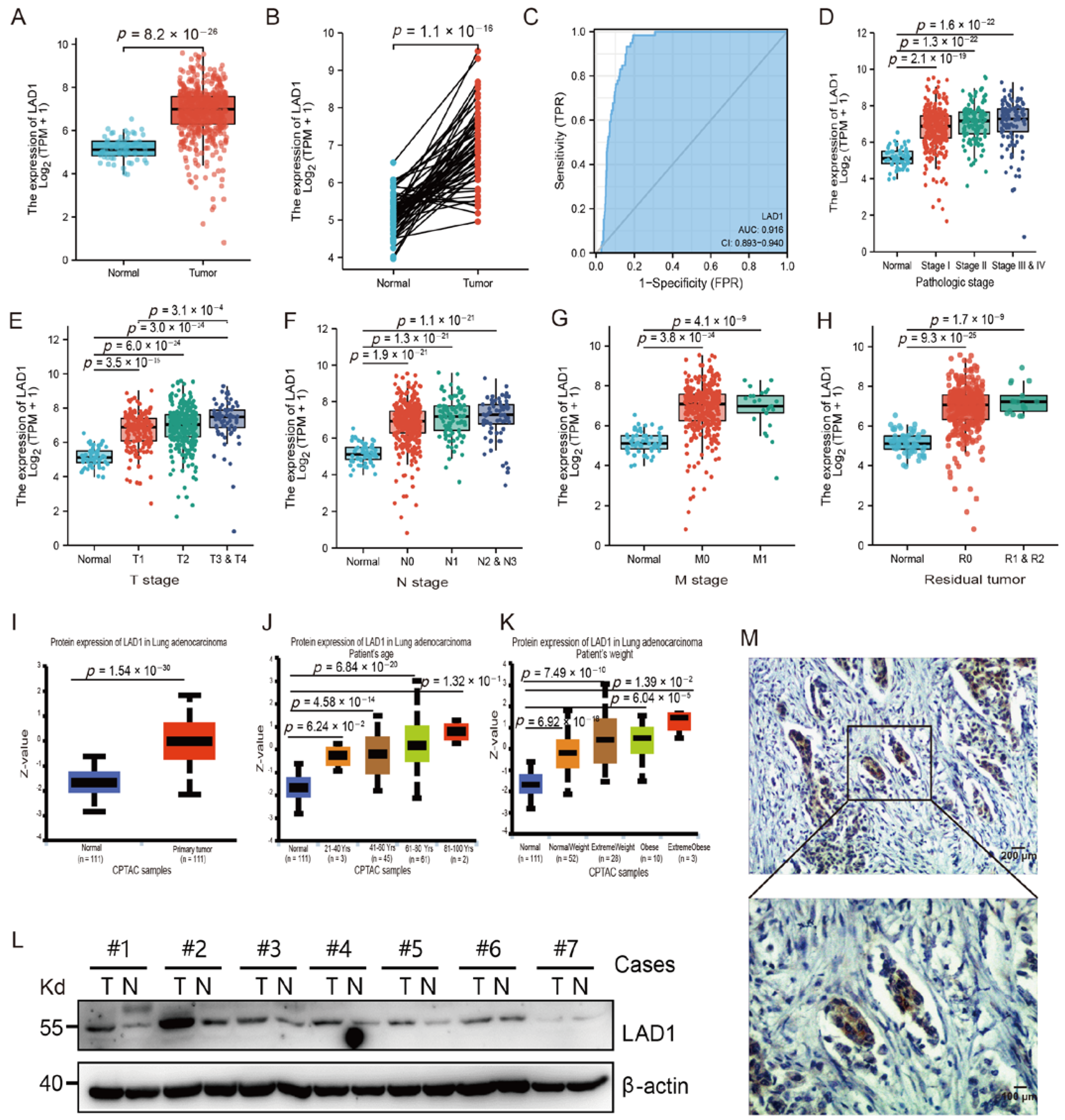 Molecules 28 01103 g001