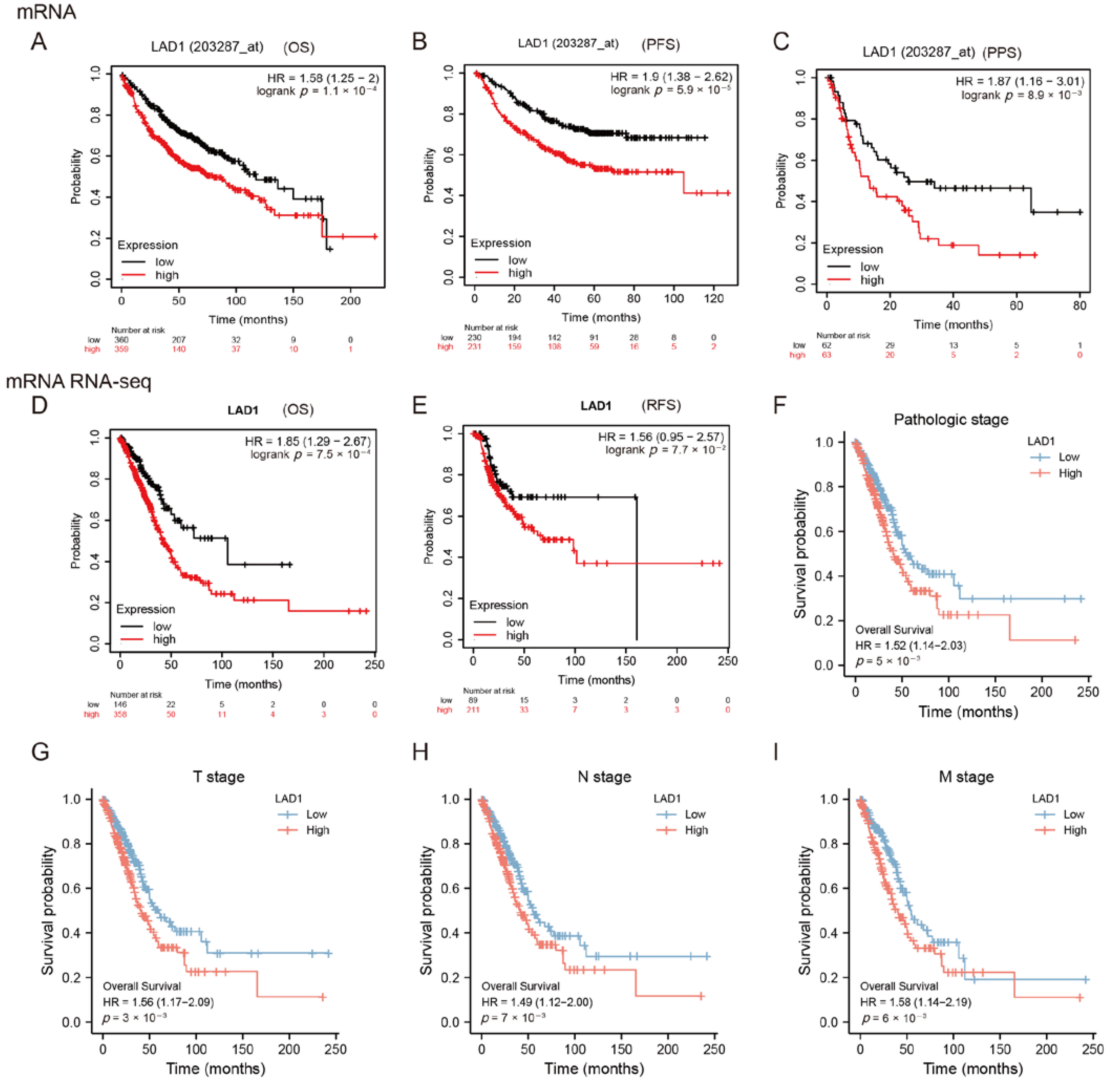 Molecules 28 01103 g002