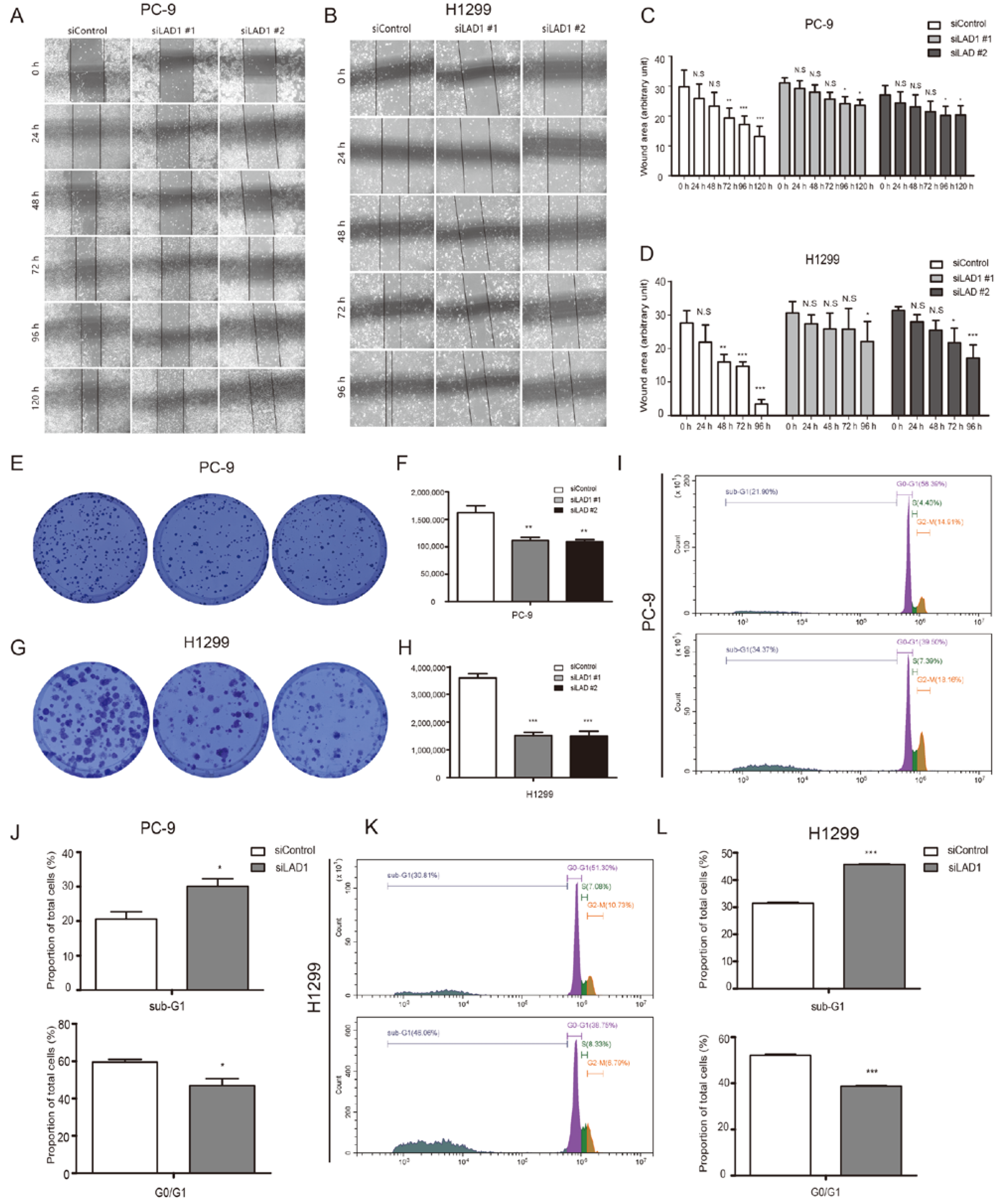 Molecules 28 01103 g006