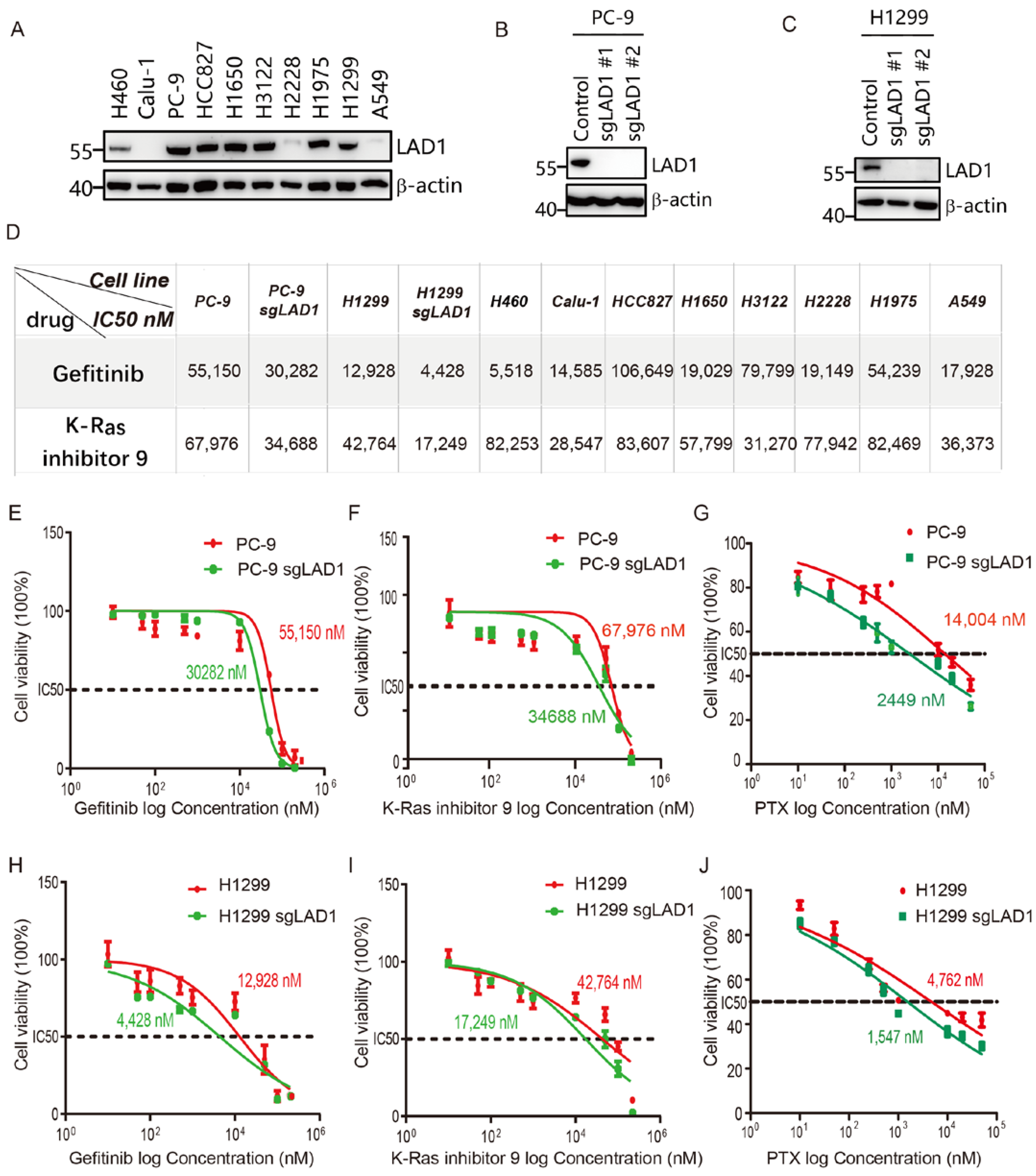 Molecules 28 01103 g007
