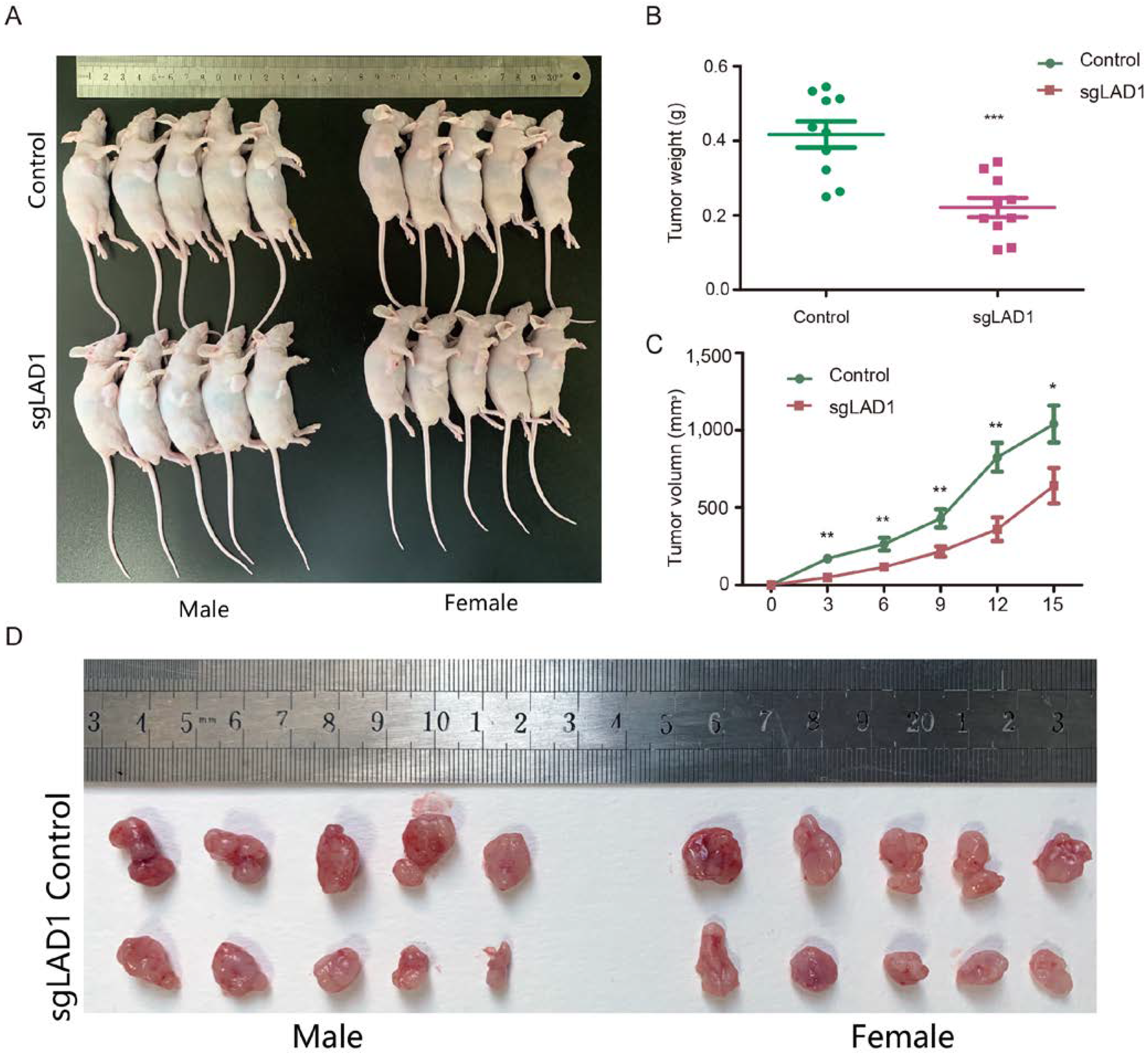 Molecules 28 01103 g008