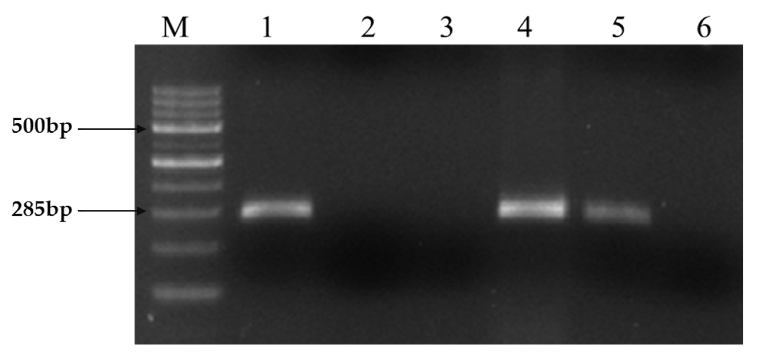 Molecules 28 01106 g001 Molecules 28 01106 g001