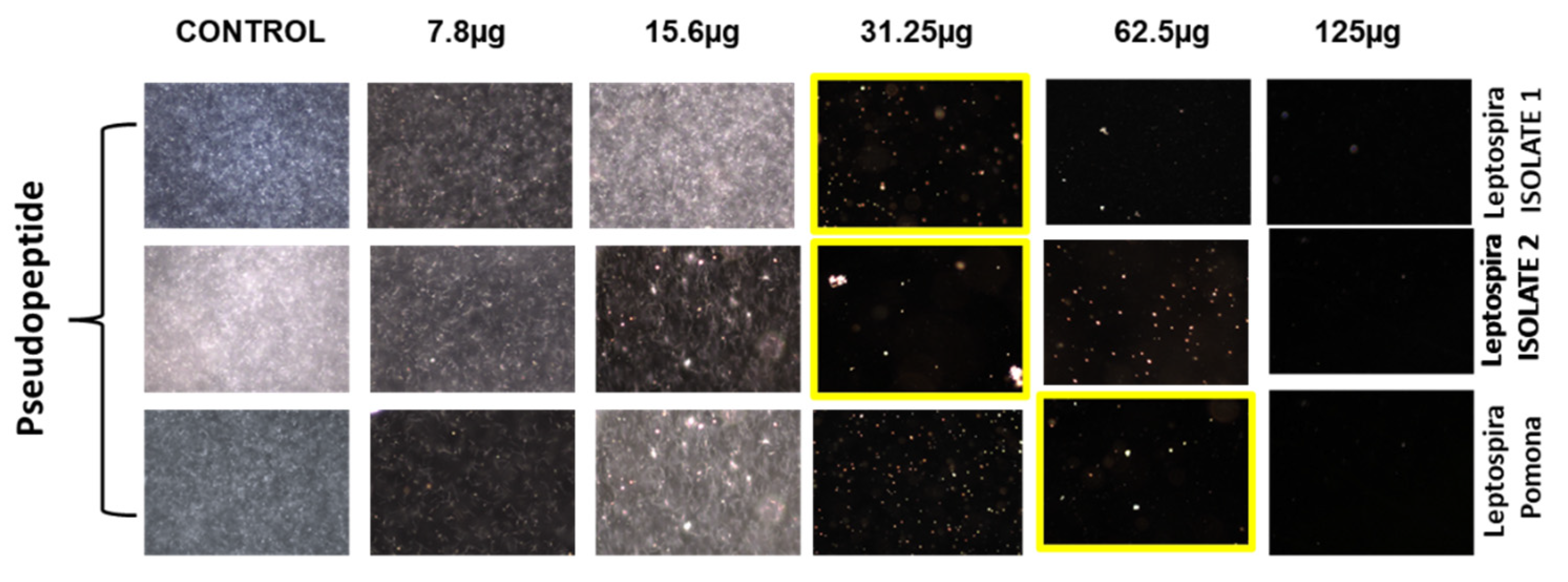 Molecules 28 01106 g002 Molecules 28 01106 g002