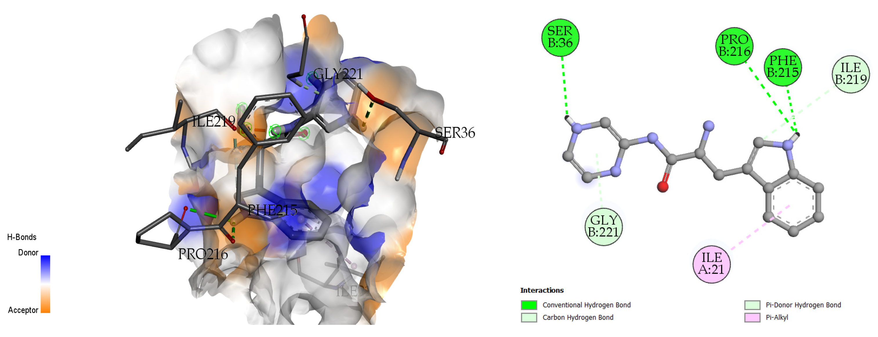 Molecules 28 01106 g008 Molecules 28 01106 g008