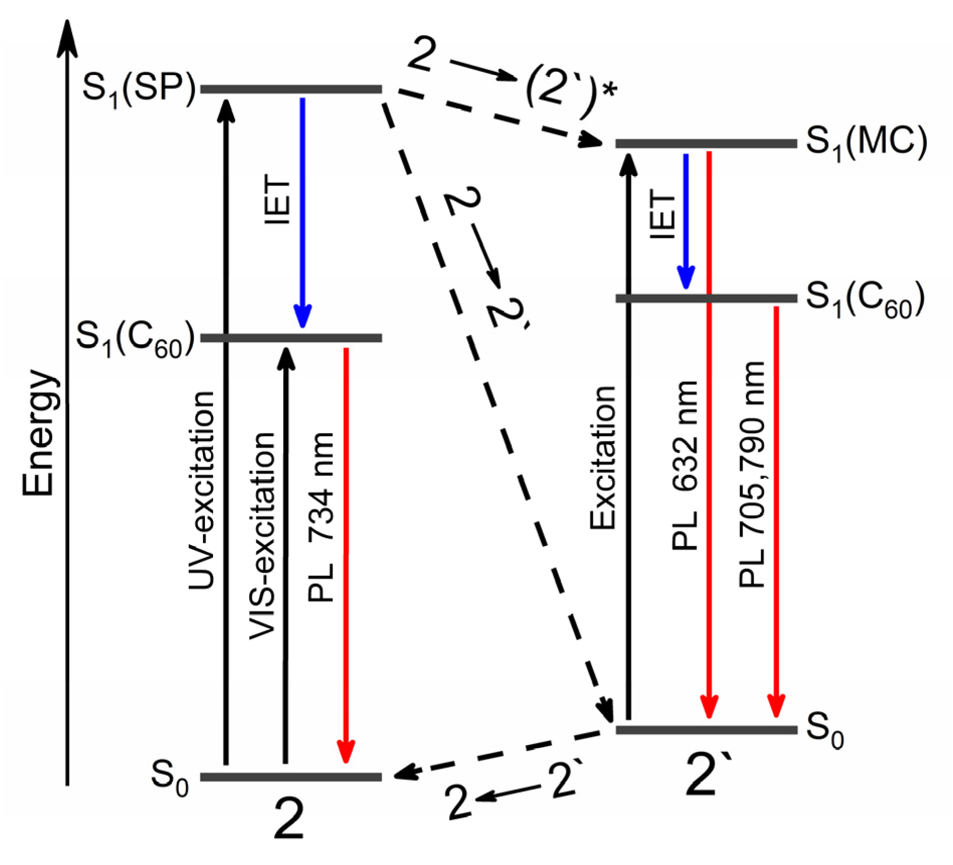 Molecules 28 01107 g005 Molecules 28 01107 g005