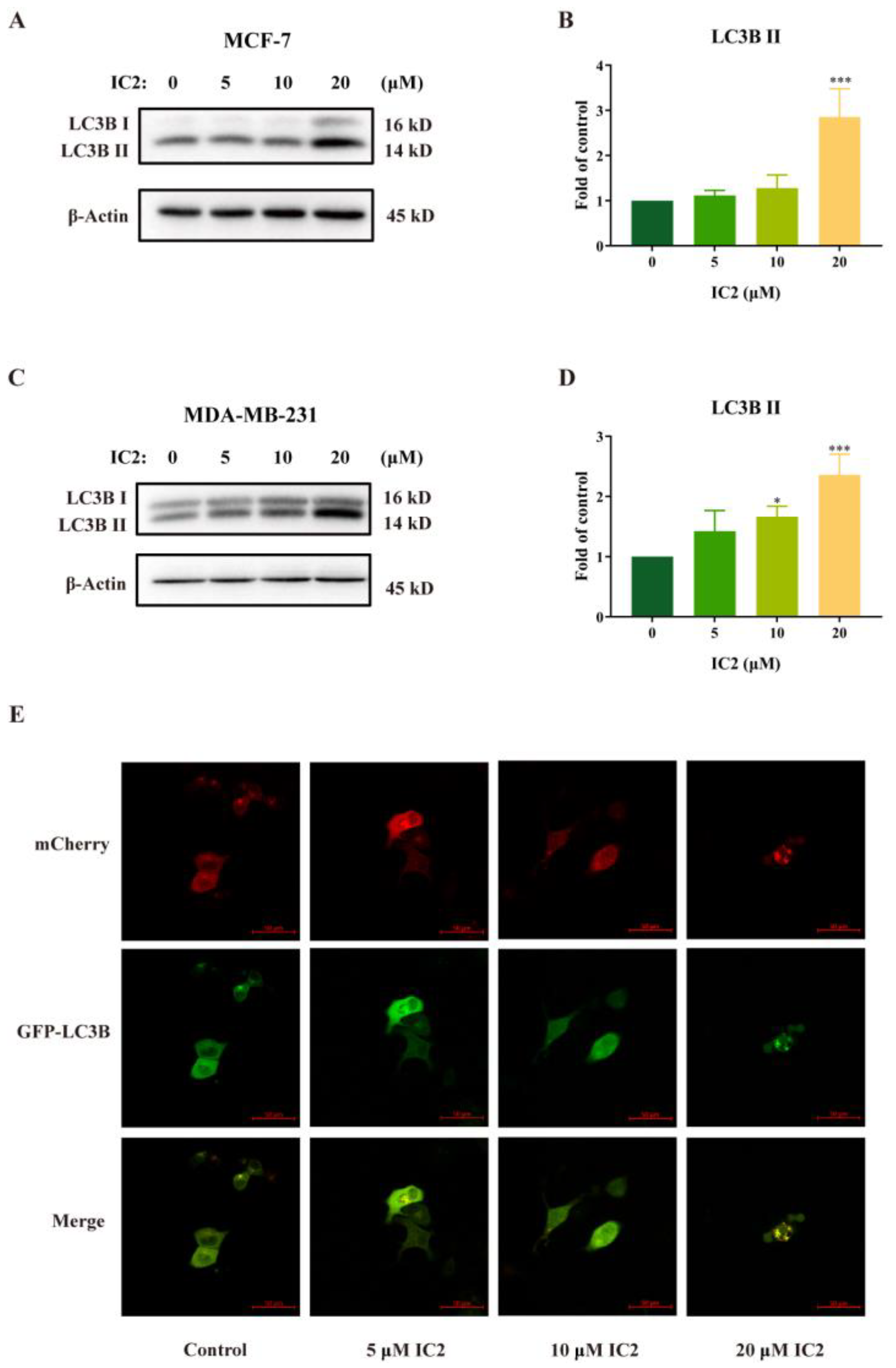 Molecules 28 01109 g002 Molecules 28 01109 g002