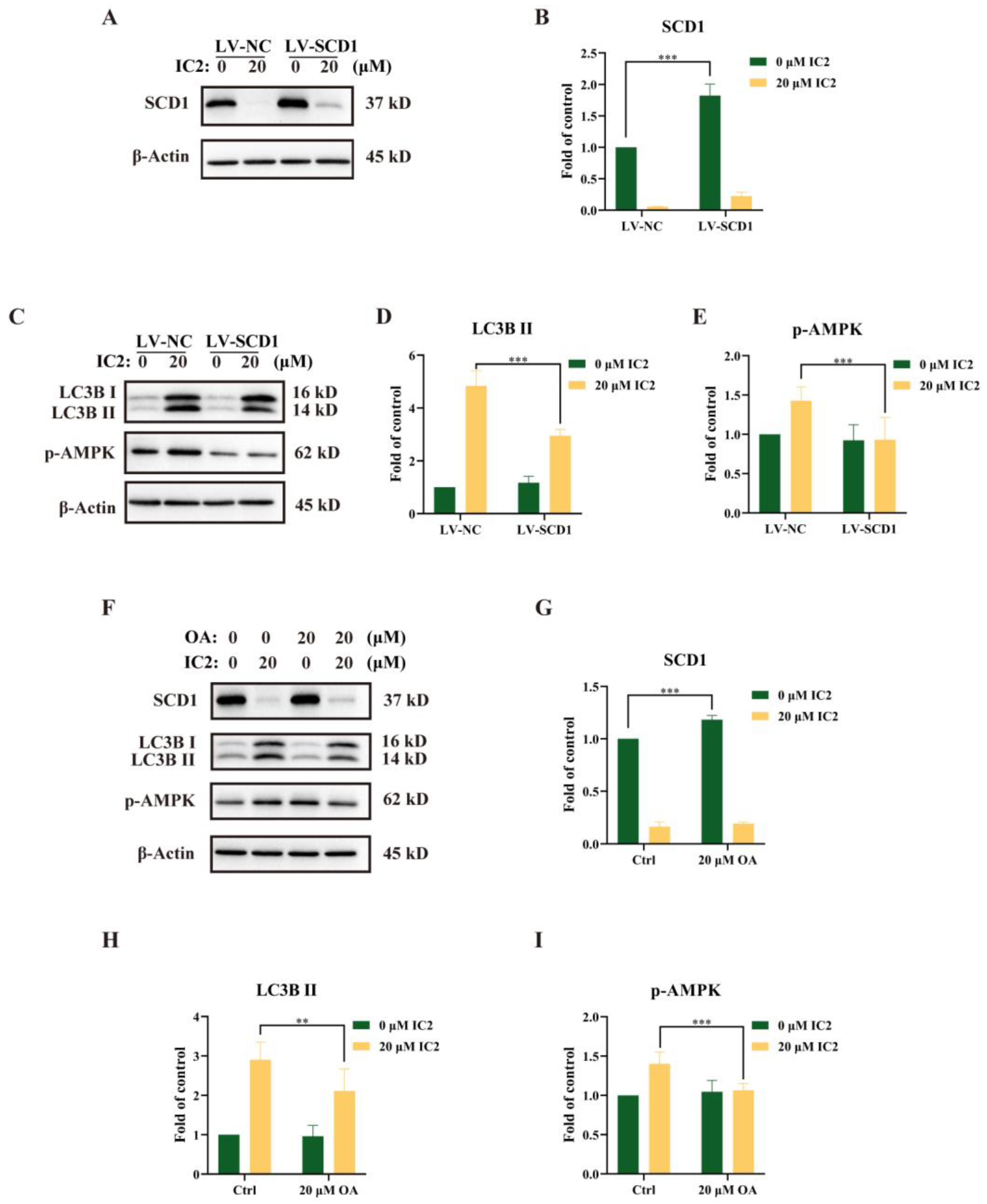 Molecules 28 01109 g005 Molecules 28 01109 g005