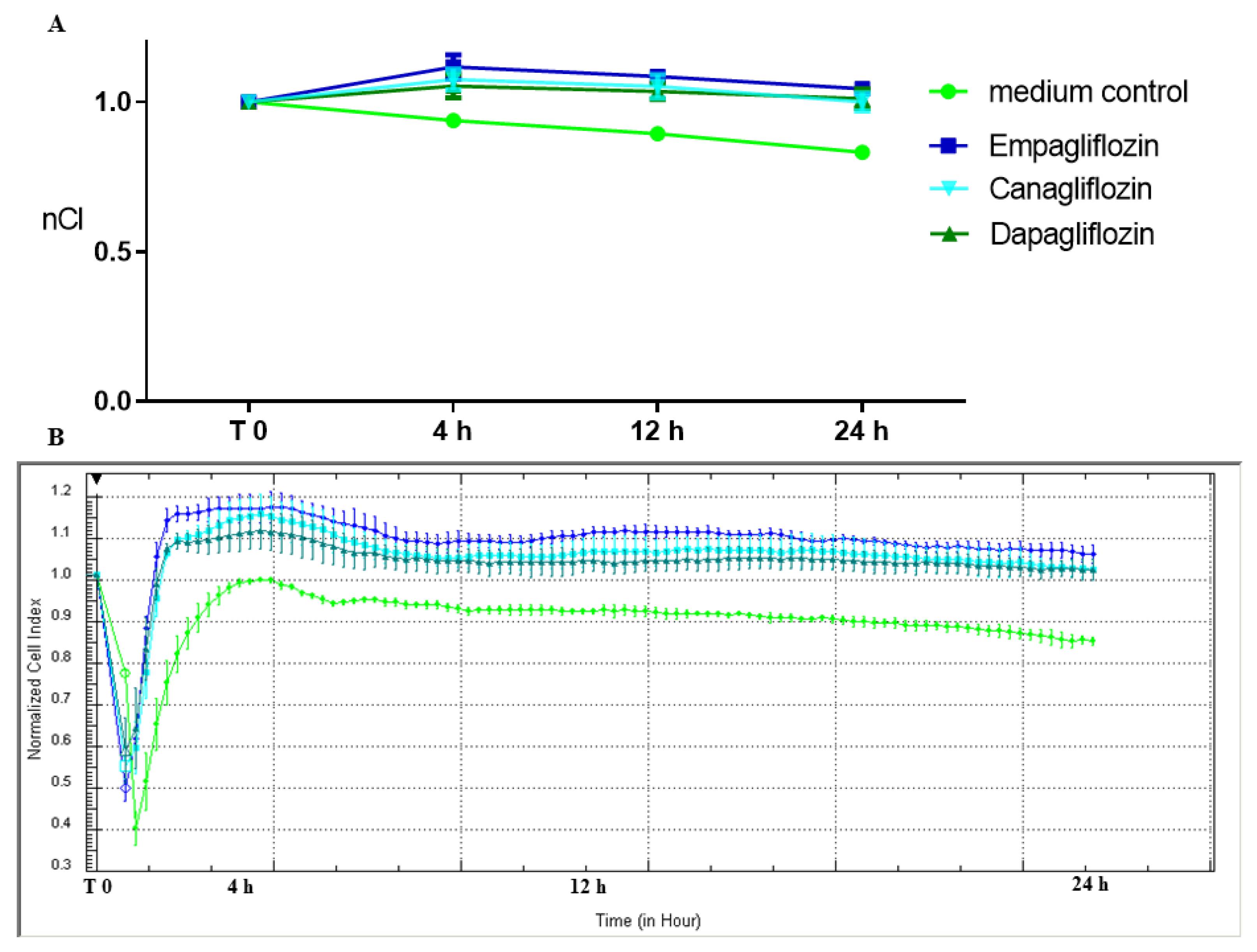 Molecules 28 01112 g001 Molecules 28 01112 g001