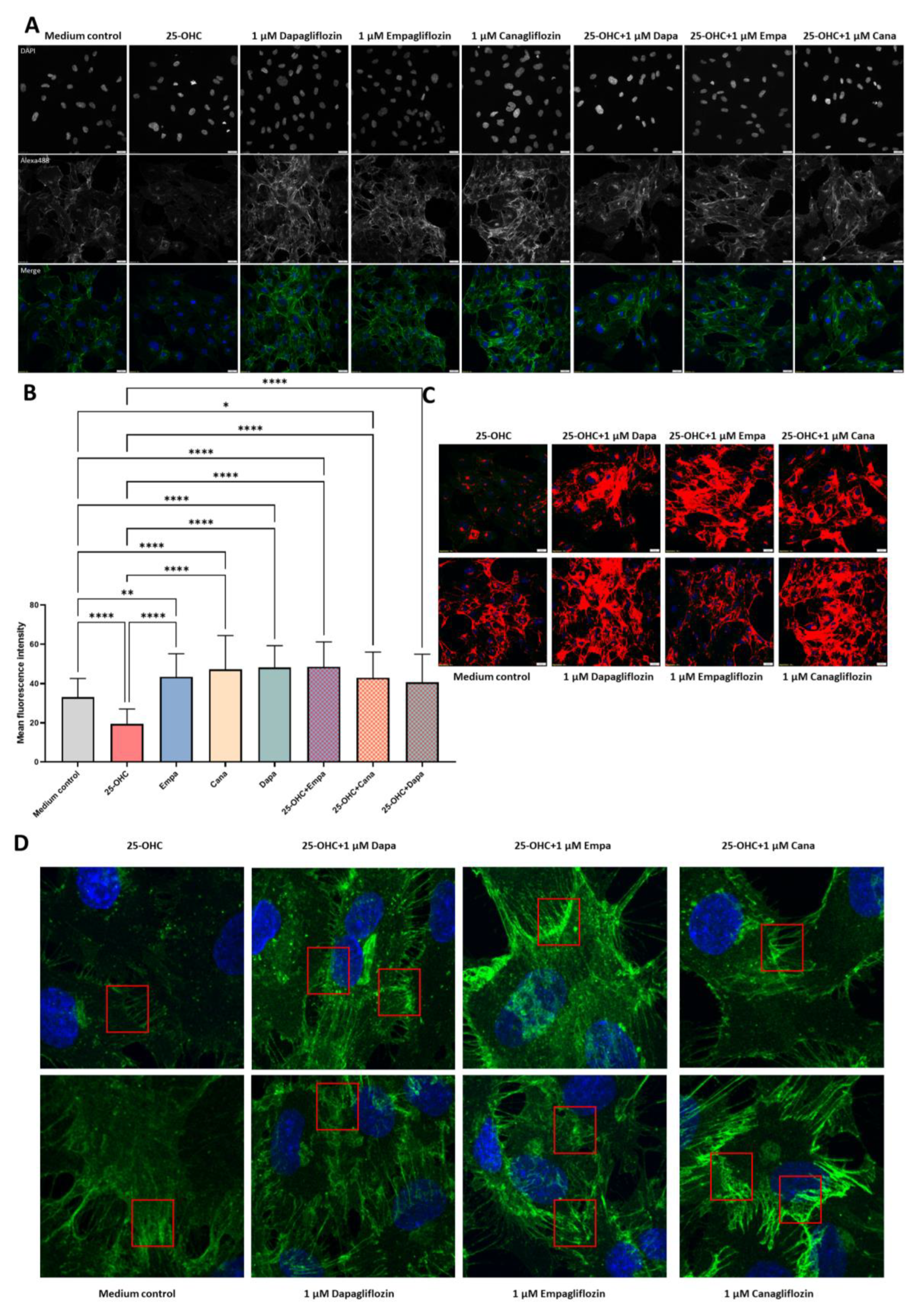 Molecules 28 01112 g003 Molecules 28 01112 g003