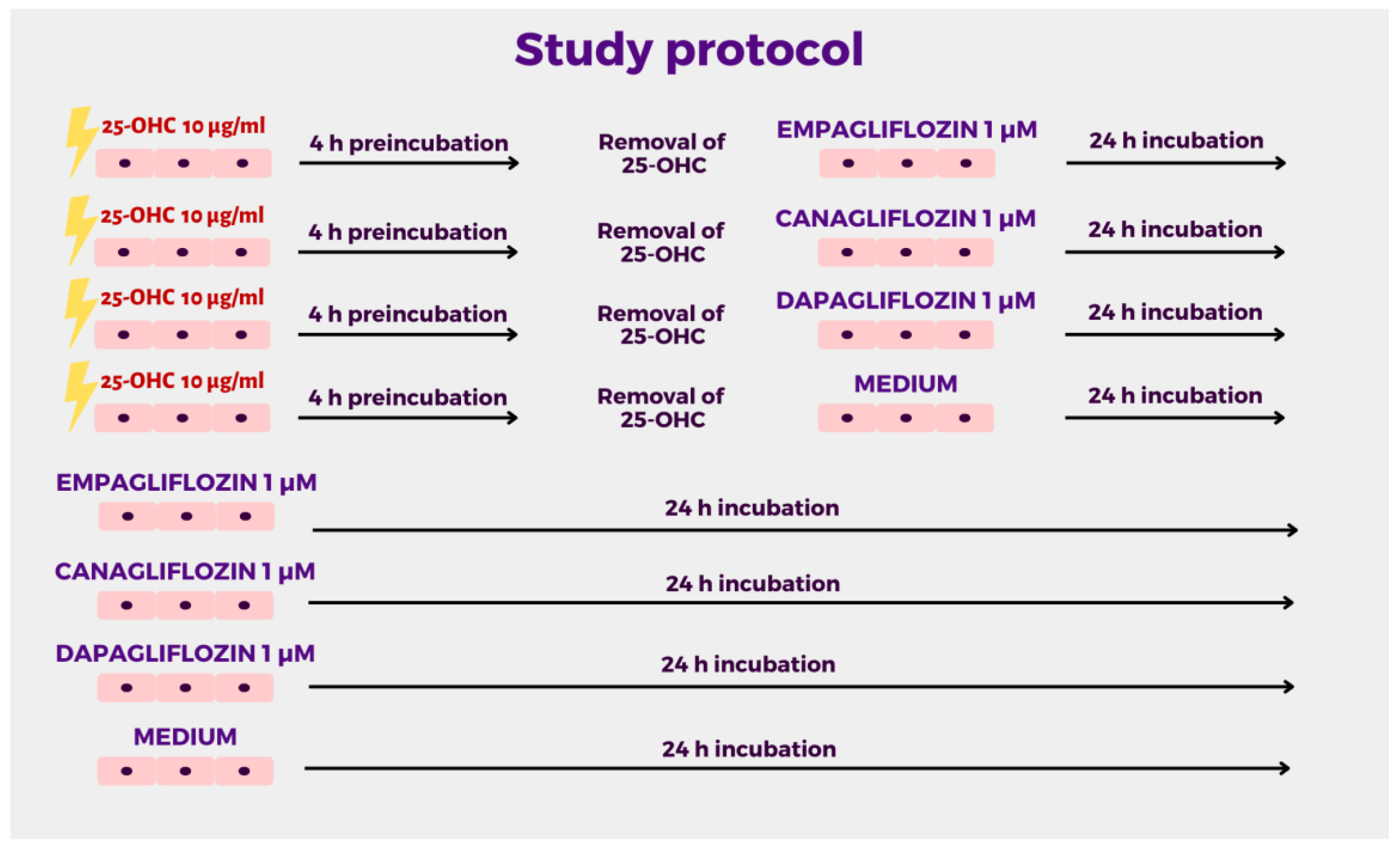 Molecules 28 01112 g004 Molecules 28 01112 g004