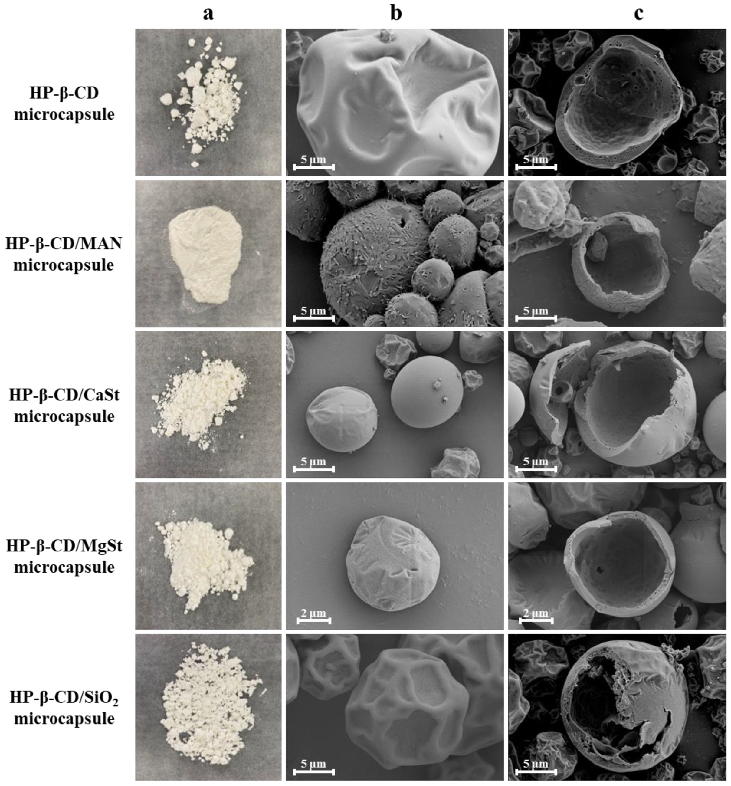 Molecules 28 01119 g001 Molecules 28 01119 g001