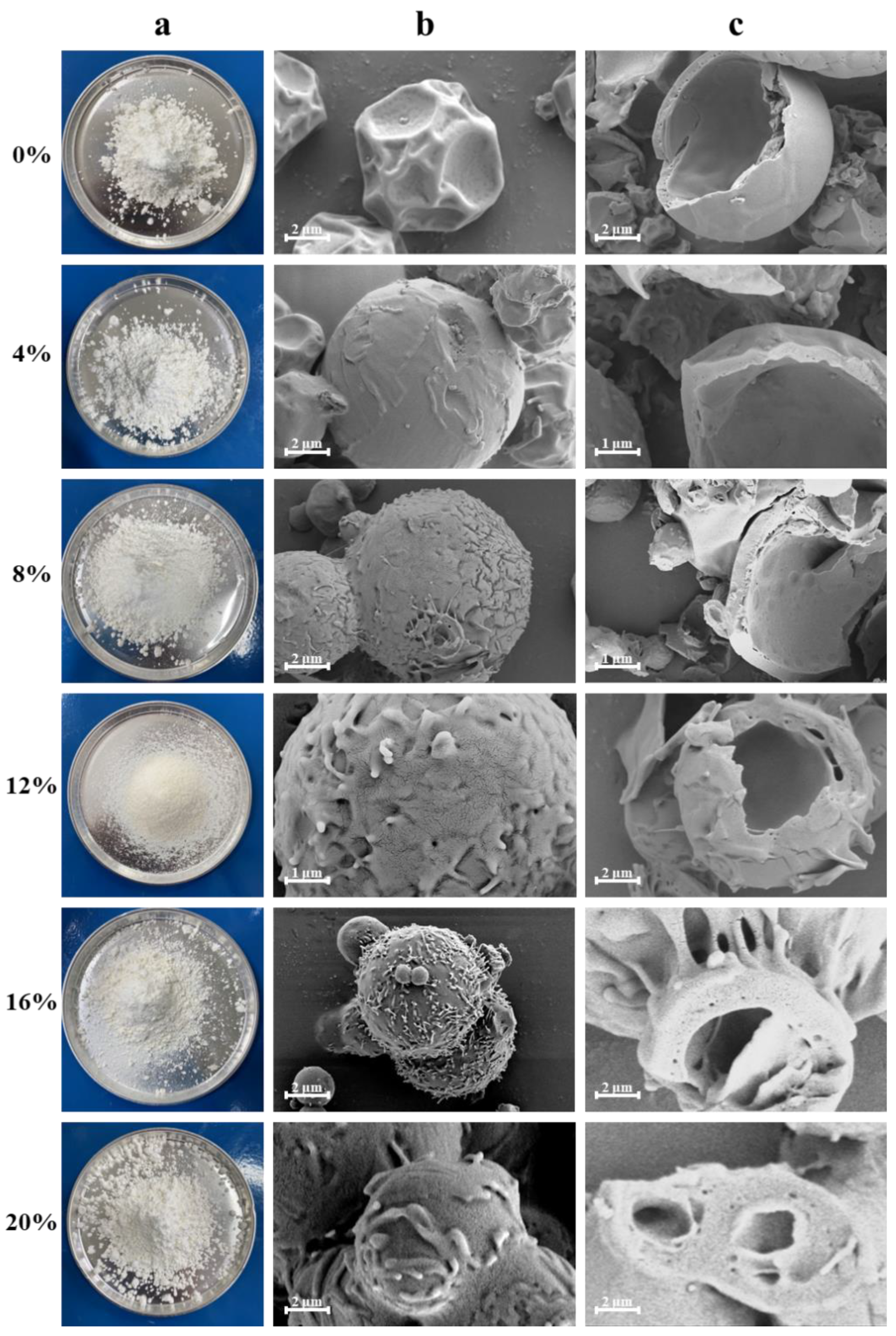 Molecules 28 01119 g005 Molecules 28 01119 g005