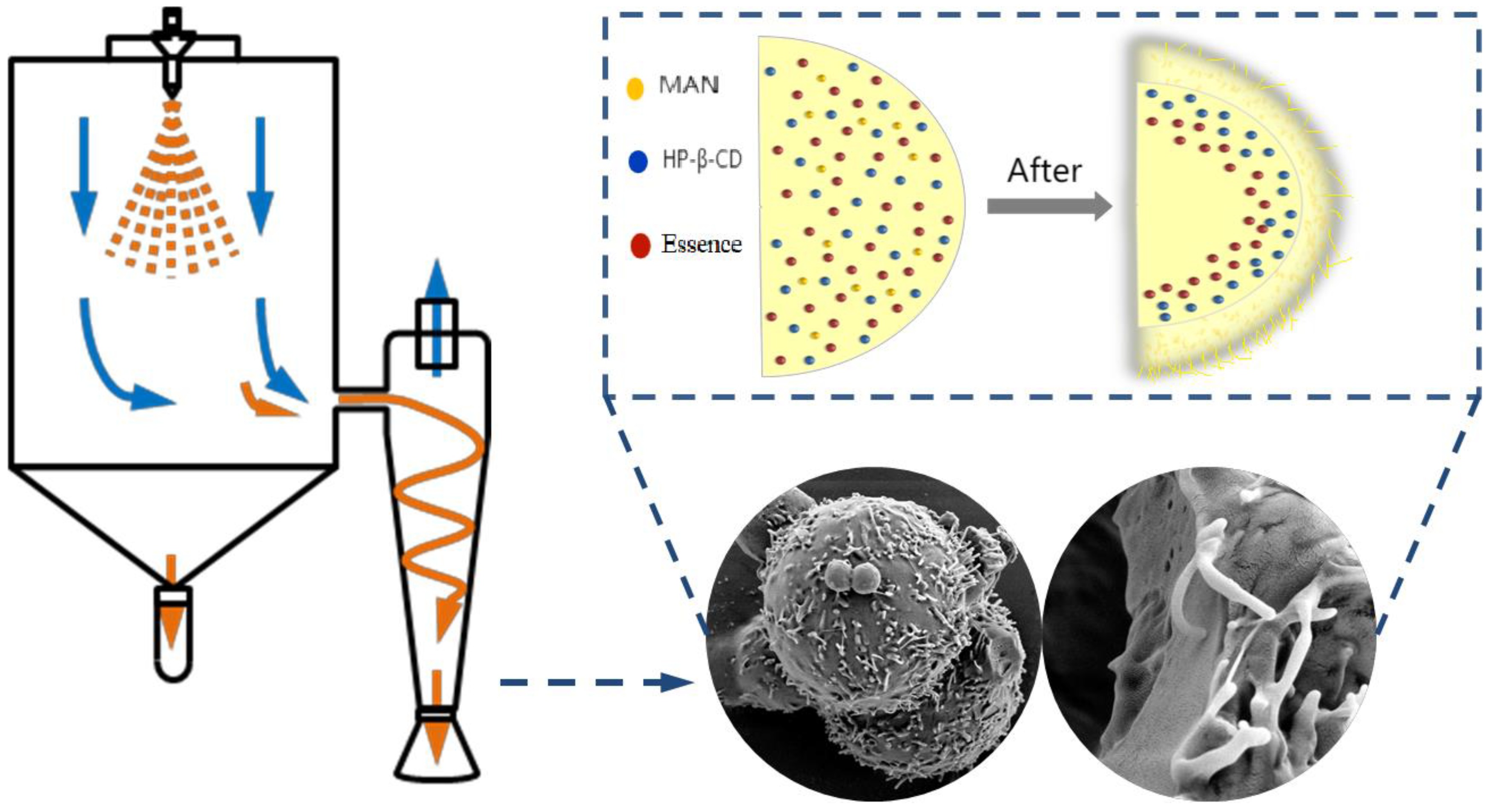 Molecules 28 01119 g009 Molecules 28 01119 g009