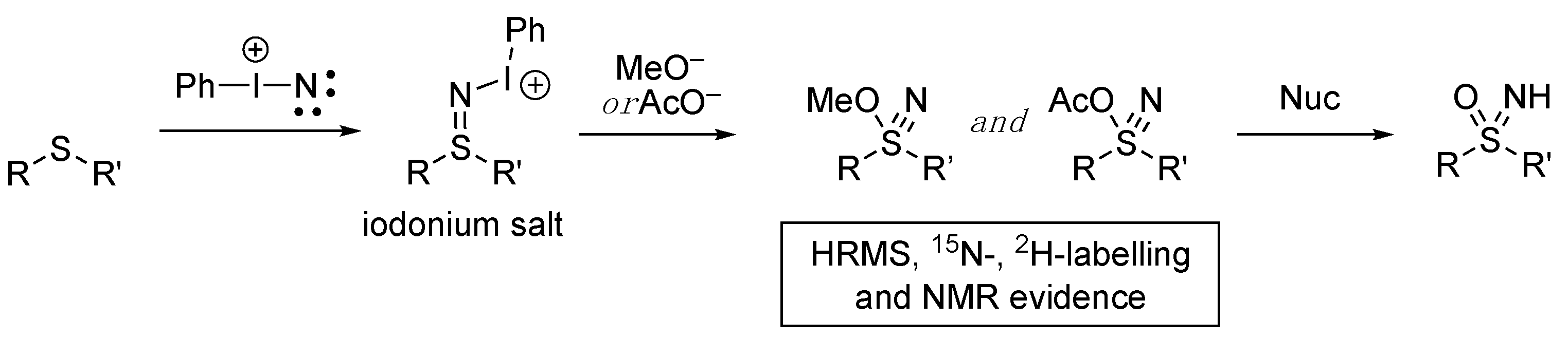 Molecules 28 01120 sch005 Molecules 28 01120 sch005