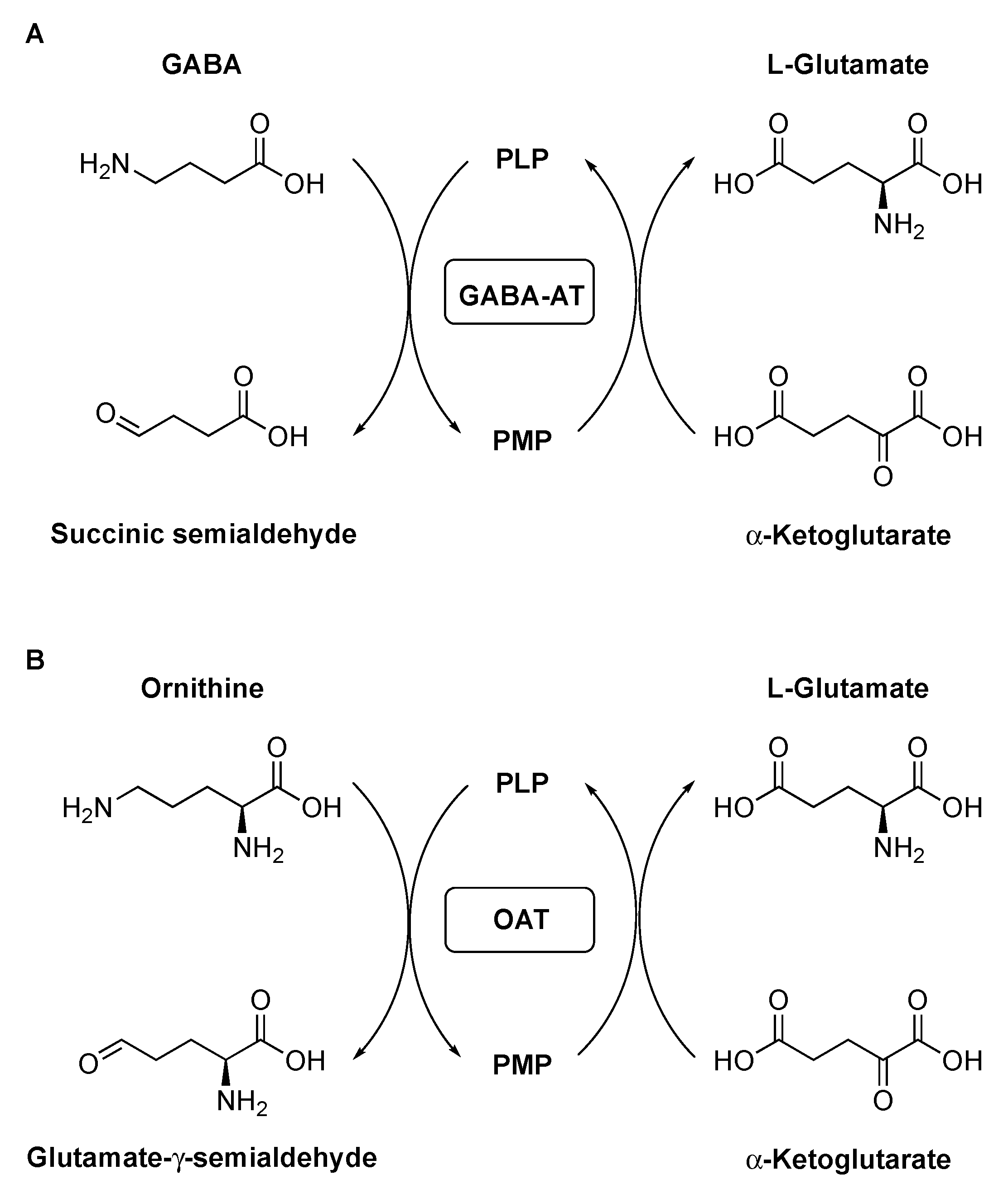 Molecules 28 01133 g001 Molecules 28 01133 g001