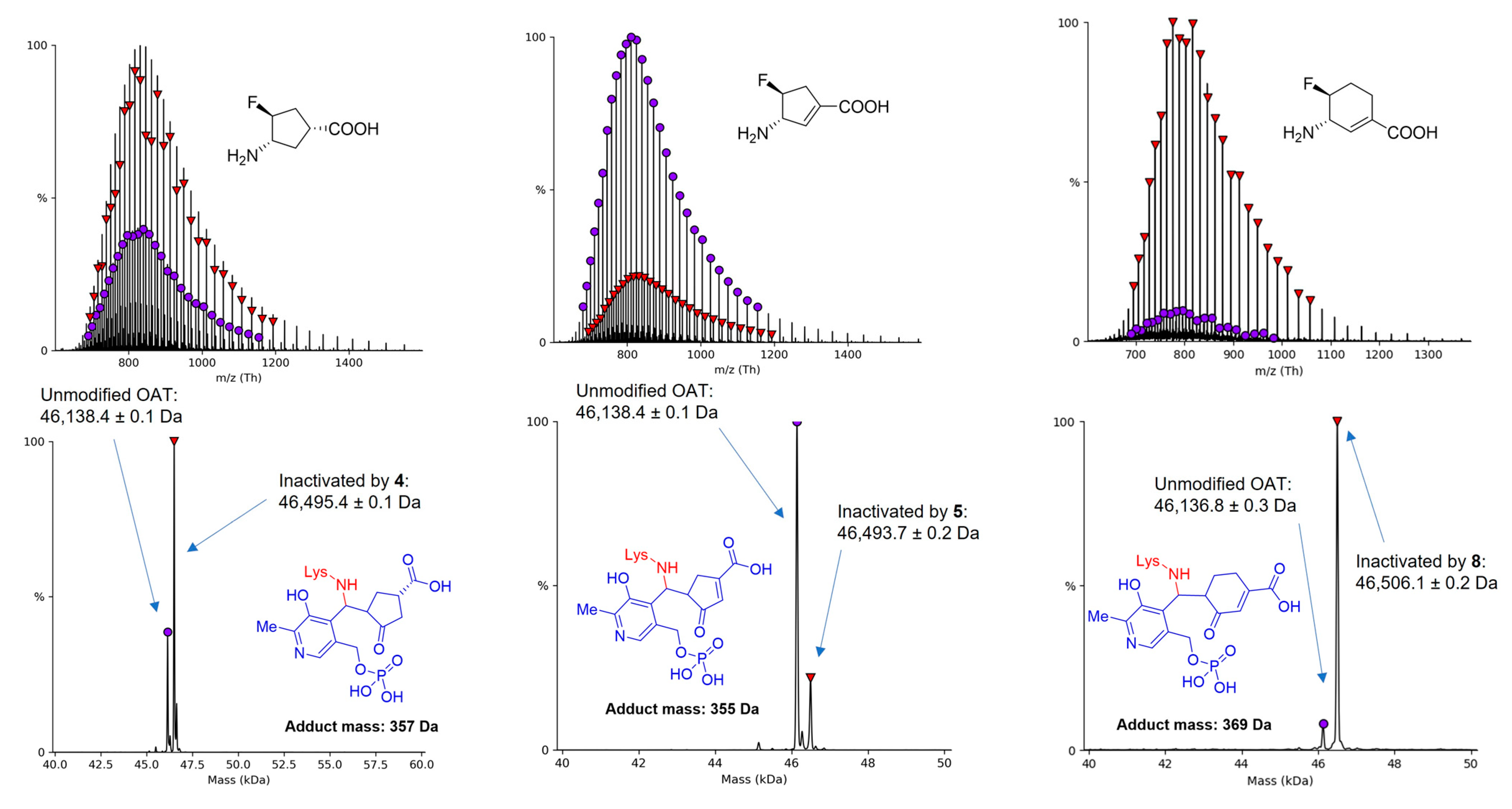 Molecules 28 01133 g003 Molecules 28 01133 g003