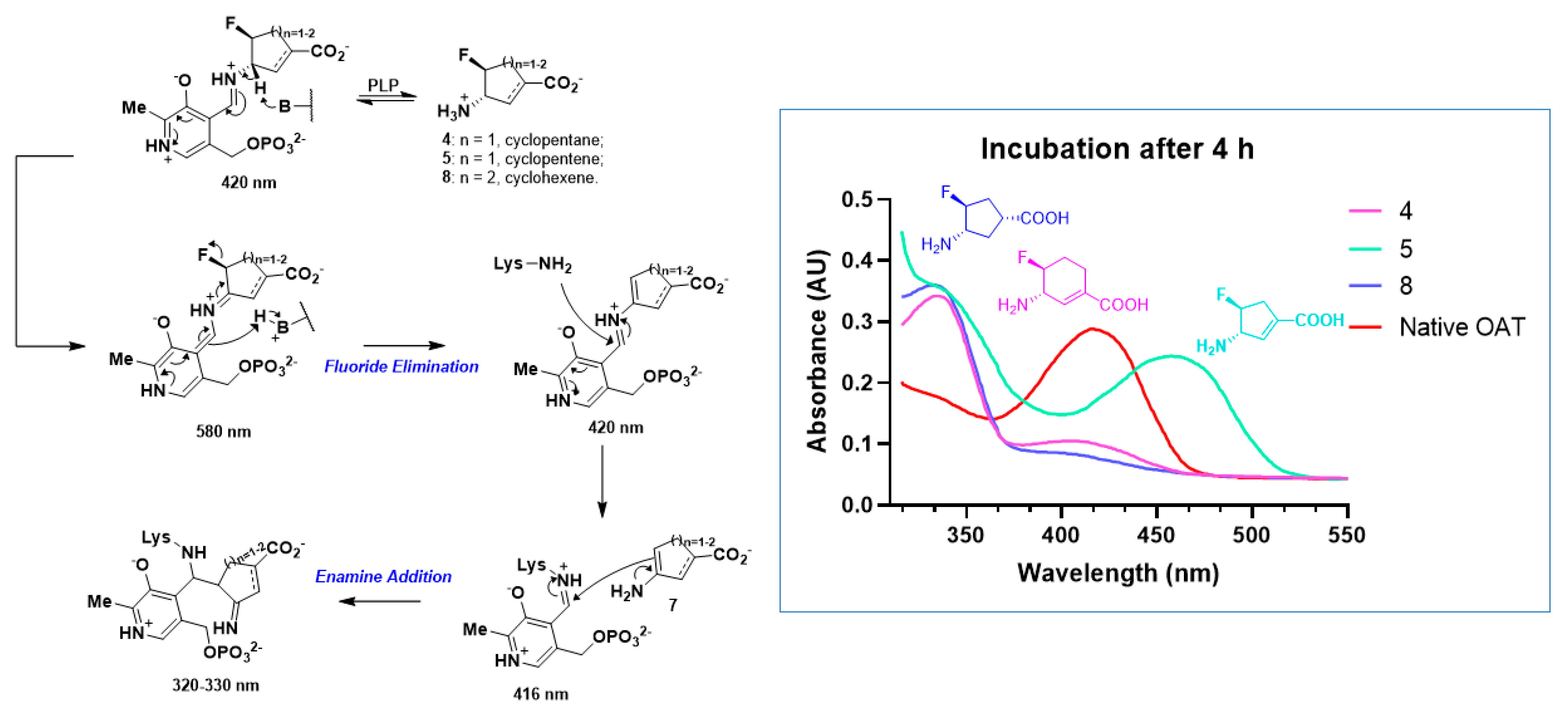 Molecules 28 01133 g004 Molecules 28 01133 g004