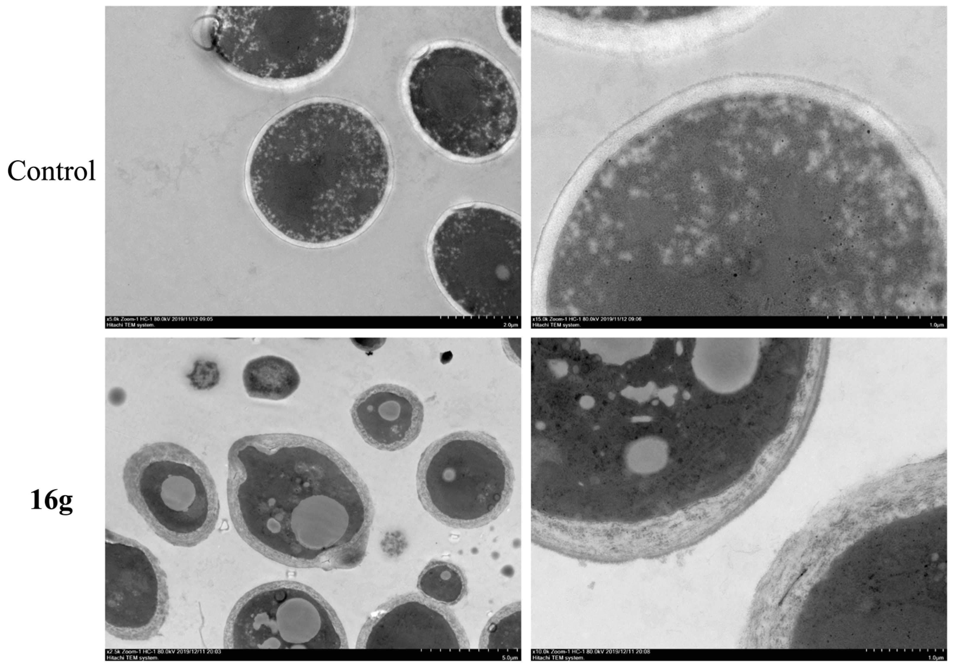 Molecules 28 01135 g006 Molecules 28 01135 g006