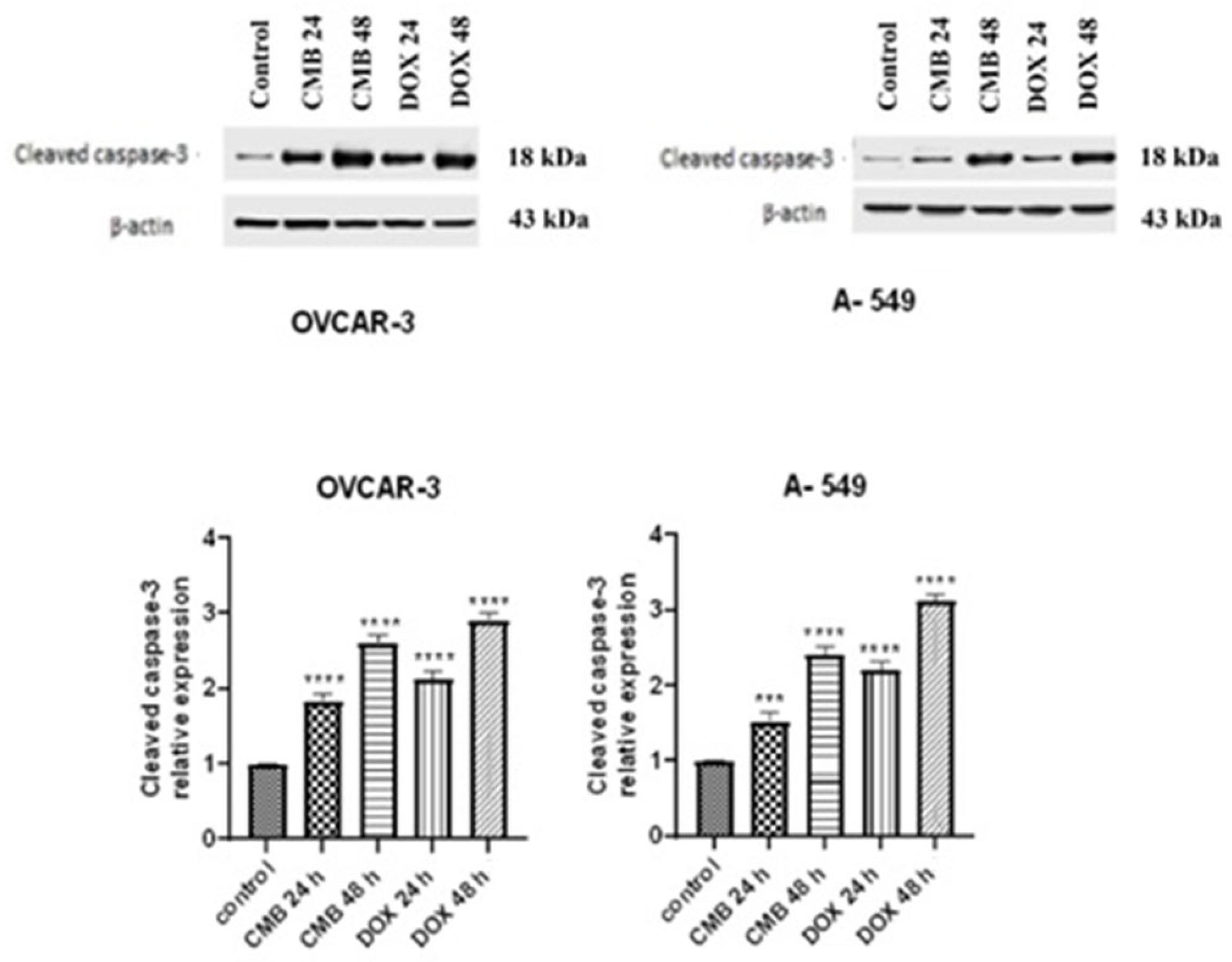 Molecules 28 01137 g007