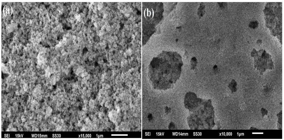 Molecules 28 01140 g004a Molecules 28 01140 g004a