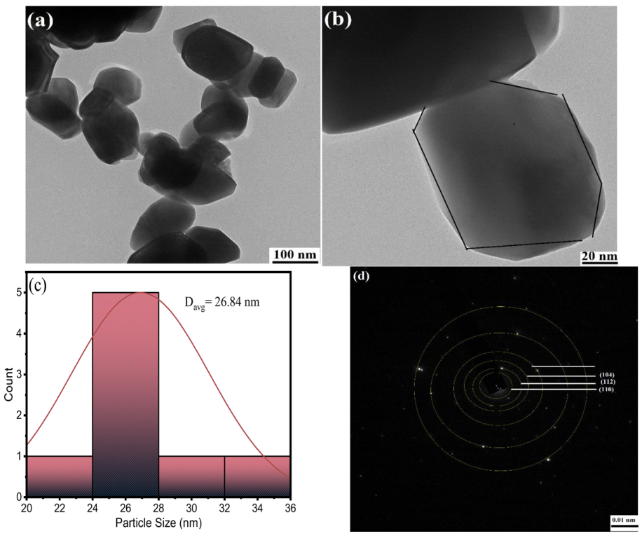 Molecules 28 01140 g005 Molecules 28 01140 g005