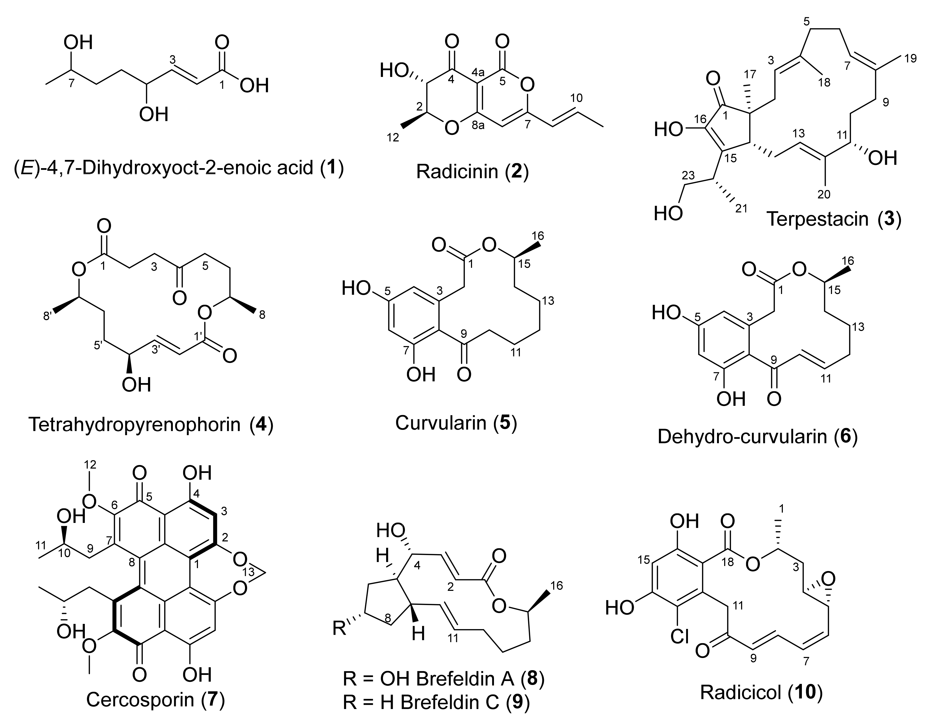 Molecules 28 01142 g002 Molecules 28 01142 g002