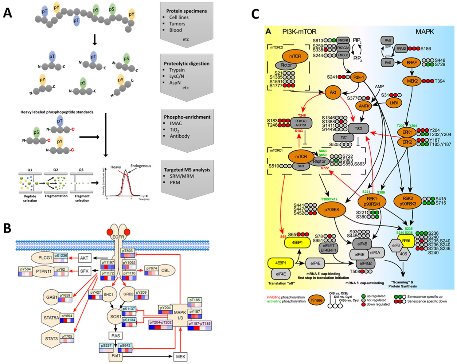 Molecules 28 01143 g001