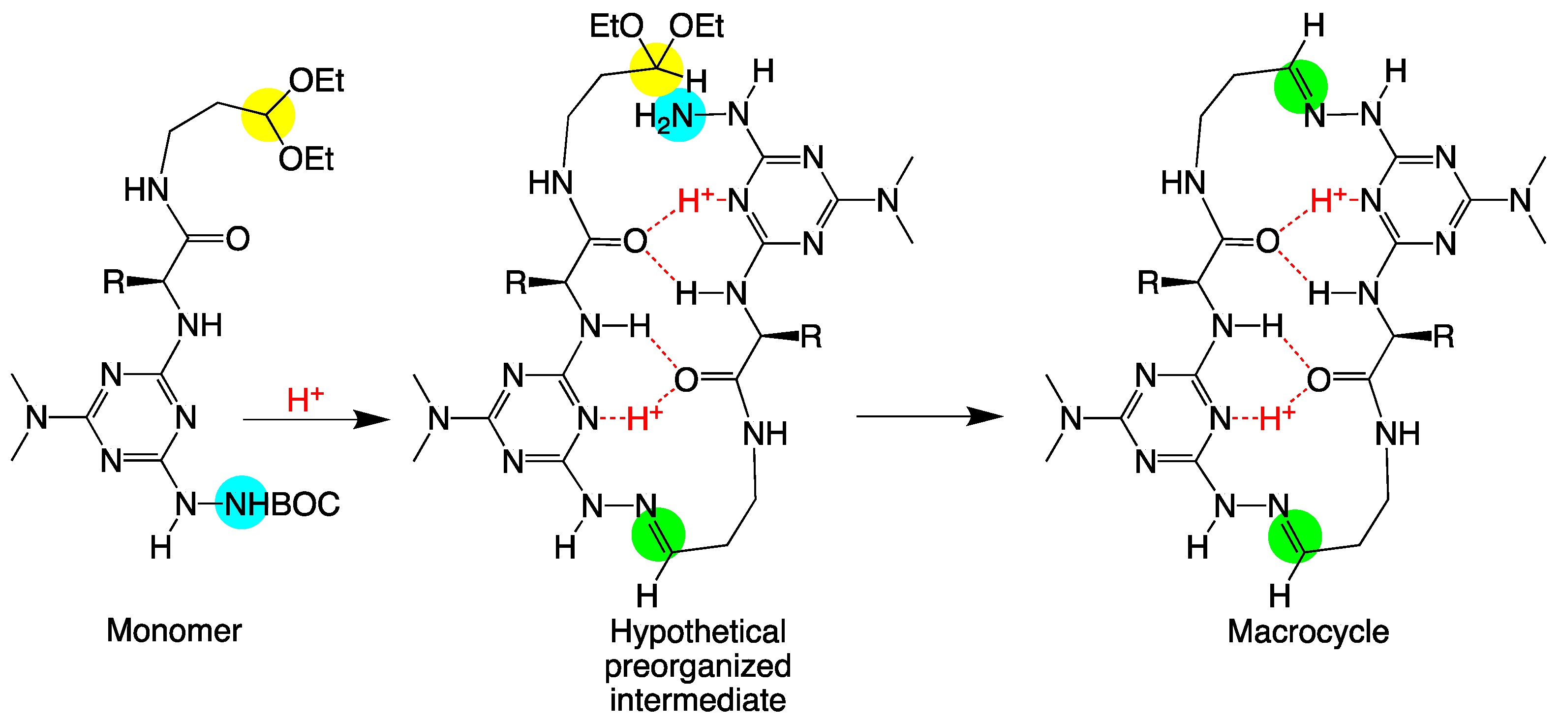 Molecules 28 01144 sch001 Molecules 28 01144 sch001
