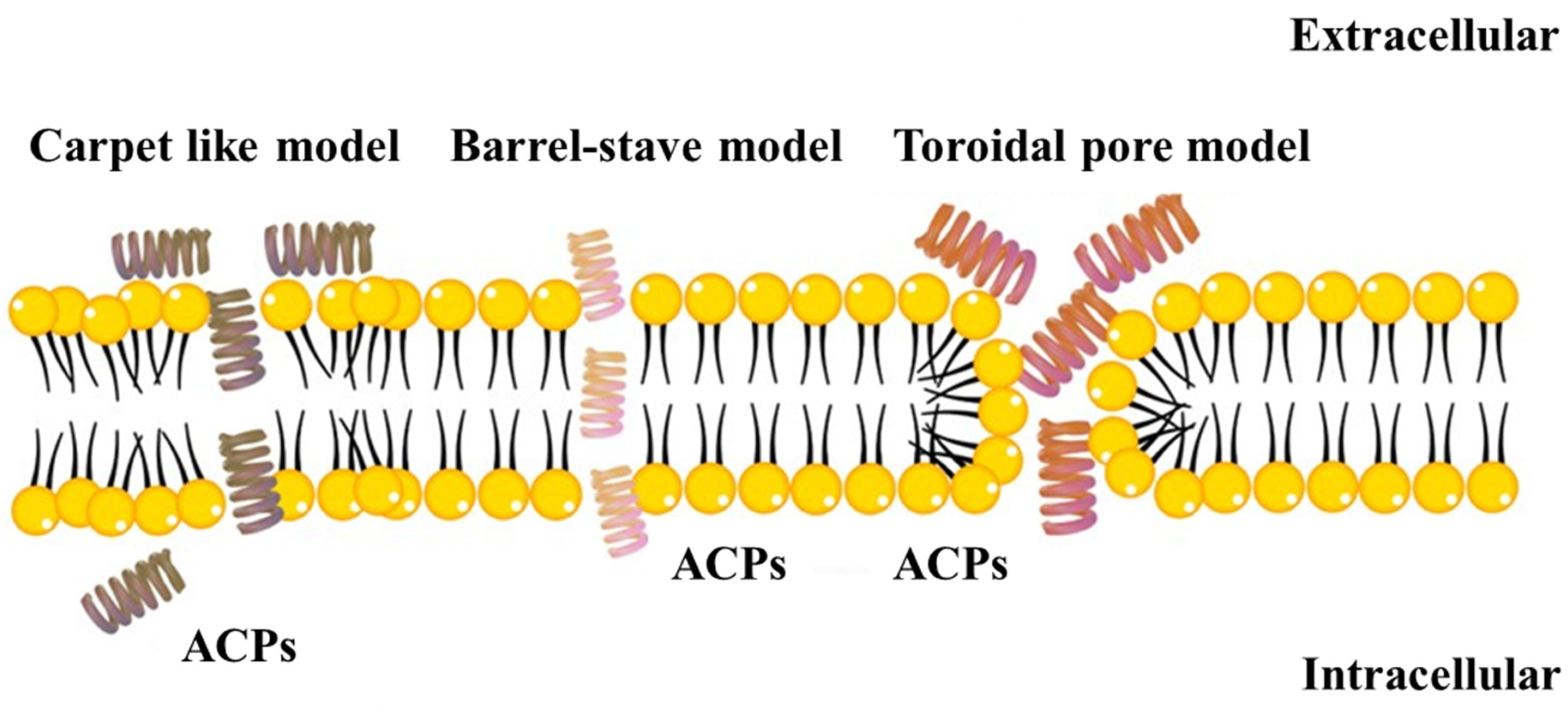 Molecules 28 01148 g001 Molecules 28 01148 g001
