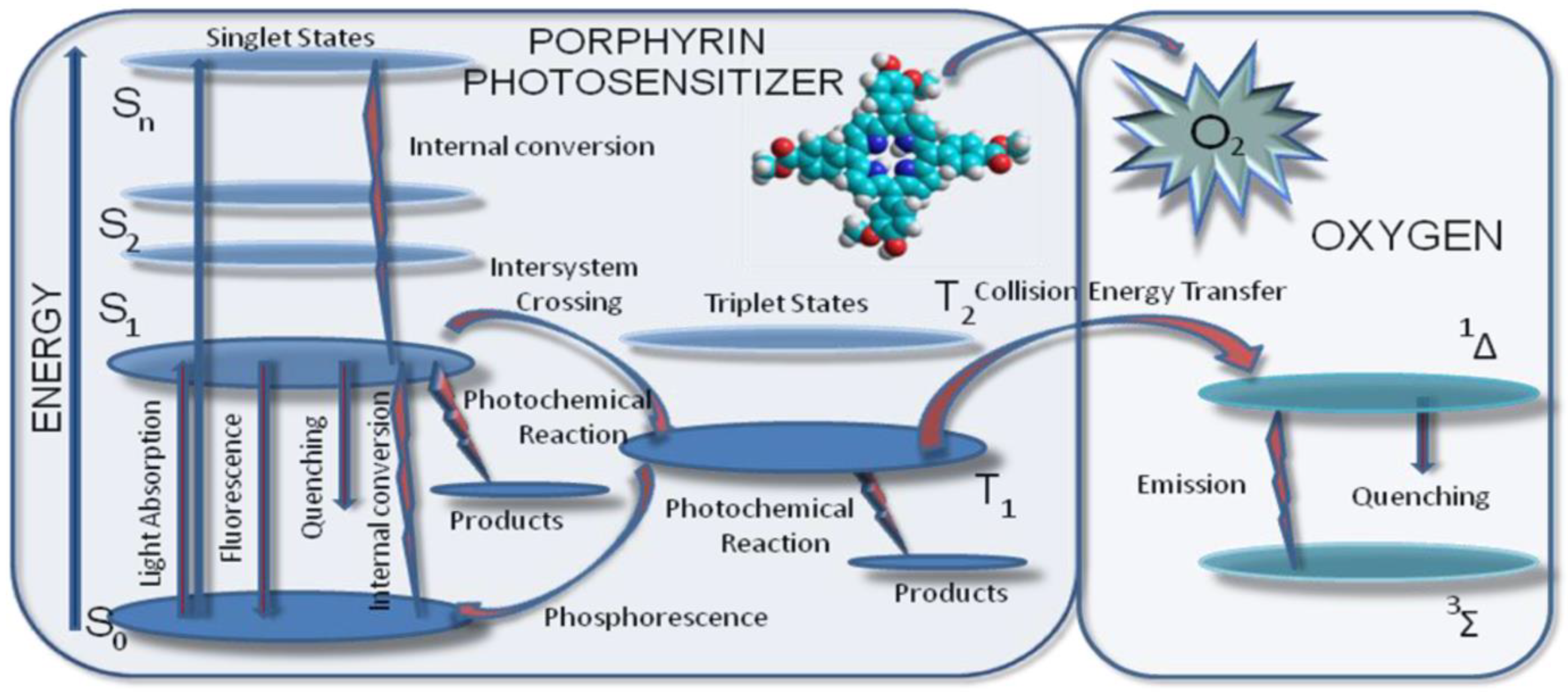 Molecules 28 01149 g004 Molecules 28 01149 g004